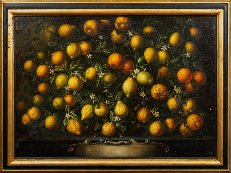 Lemon Tree Paintings - 110 For Sale on 1stDibs | lemon tree art