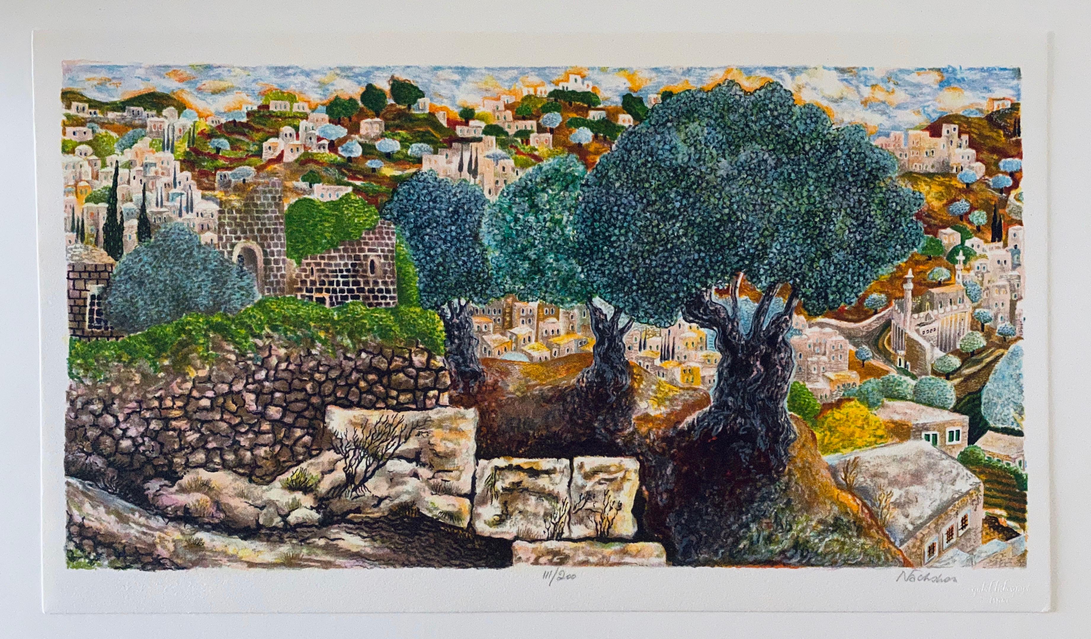 Hebron, Israeli Judaica Lithograph Chevron Landscape, Jerusalem Hills 1
