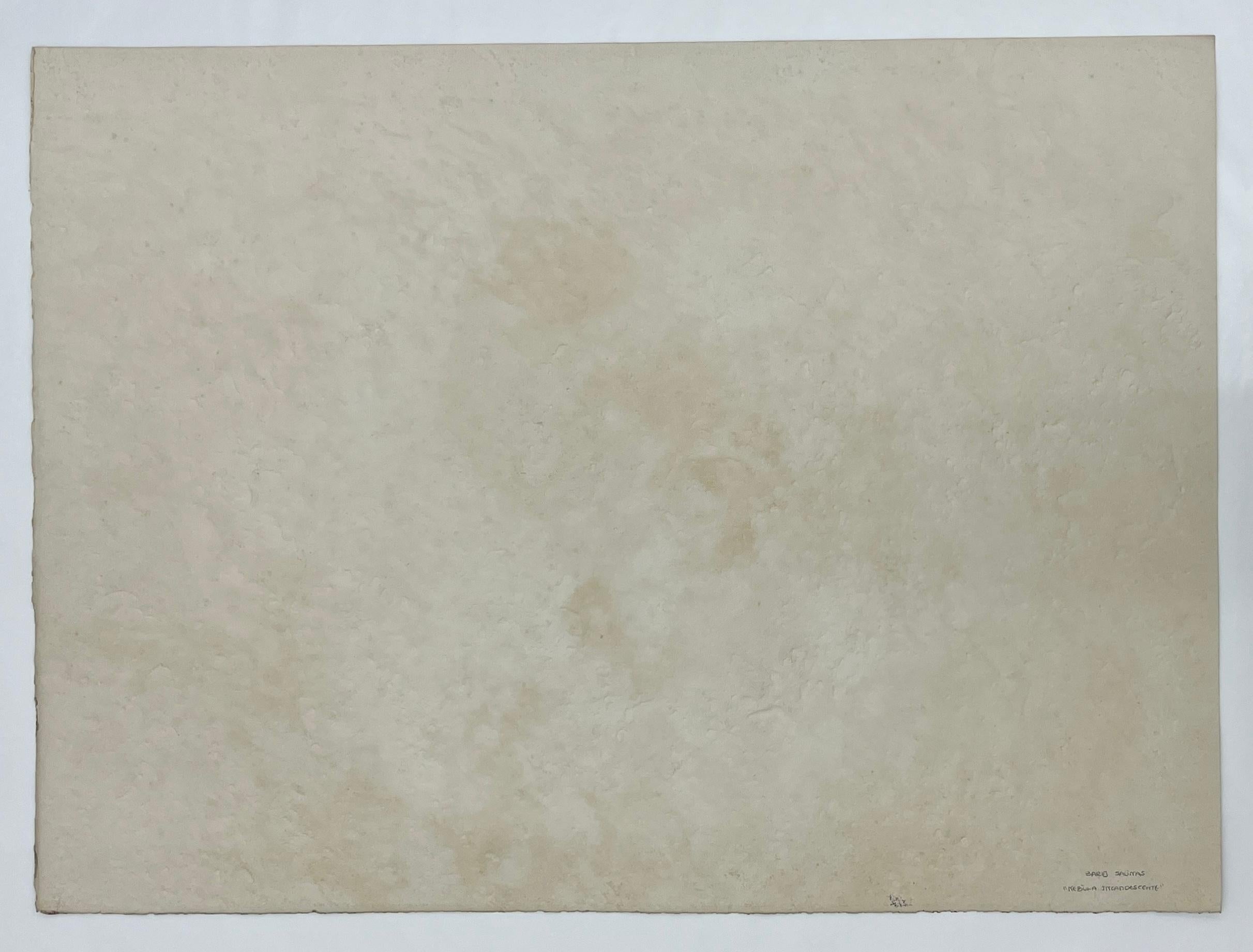 BARUJ SALINAS Cuban 1977 signed original A/P Artist Proof lithograph abstract n4 - Brown Abstract Print by Baruj Salinas