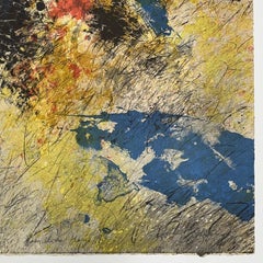 BARUJ SALINAS Cuban 1978 signed original A/P Artist Proof lithograph abstract n3