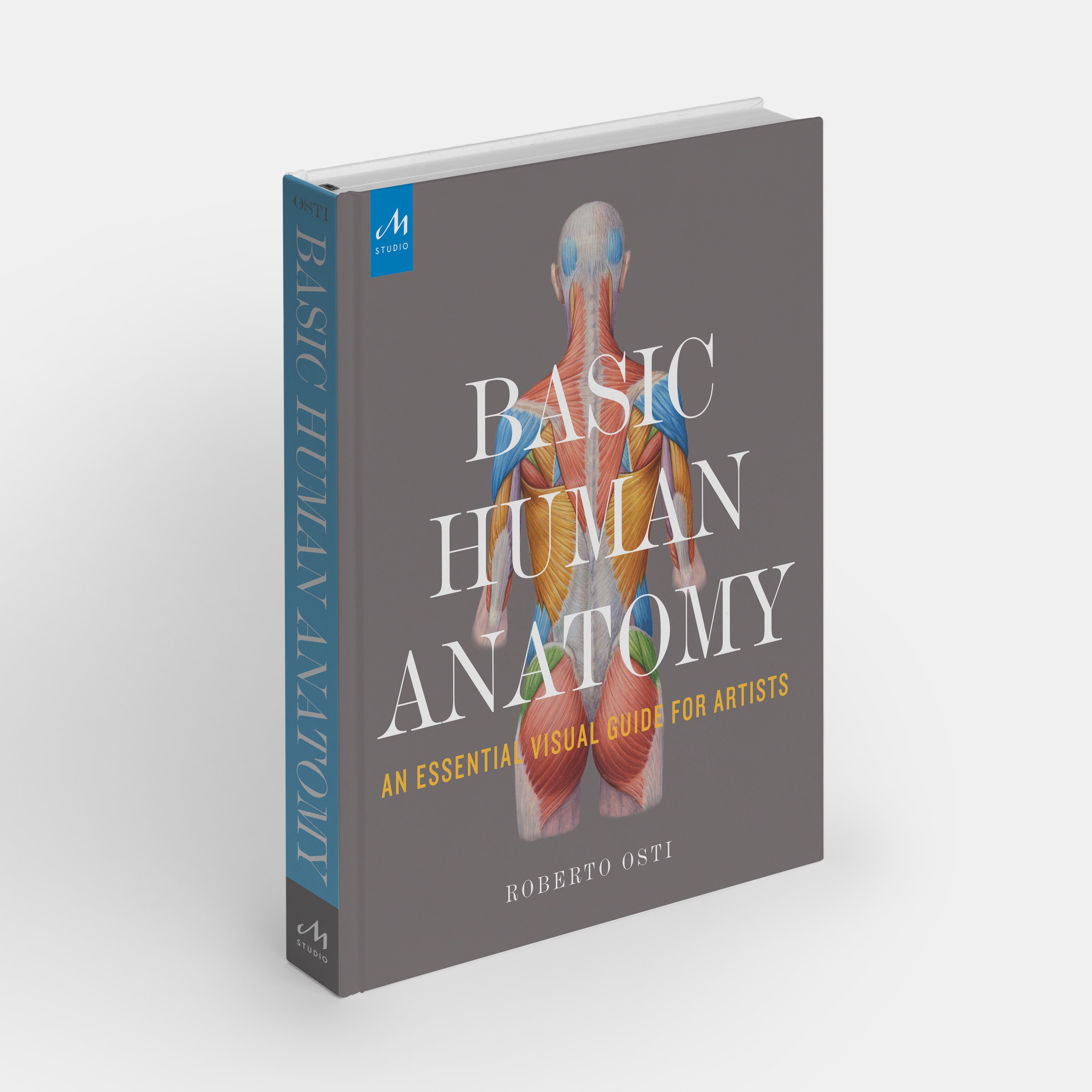 Anatomie humaine de base en vente 2