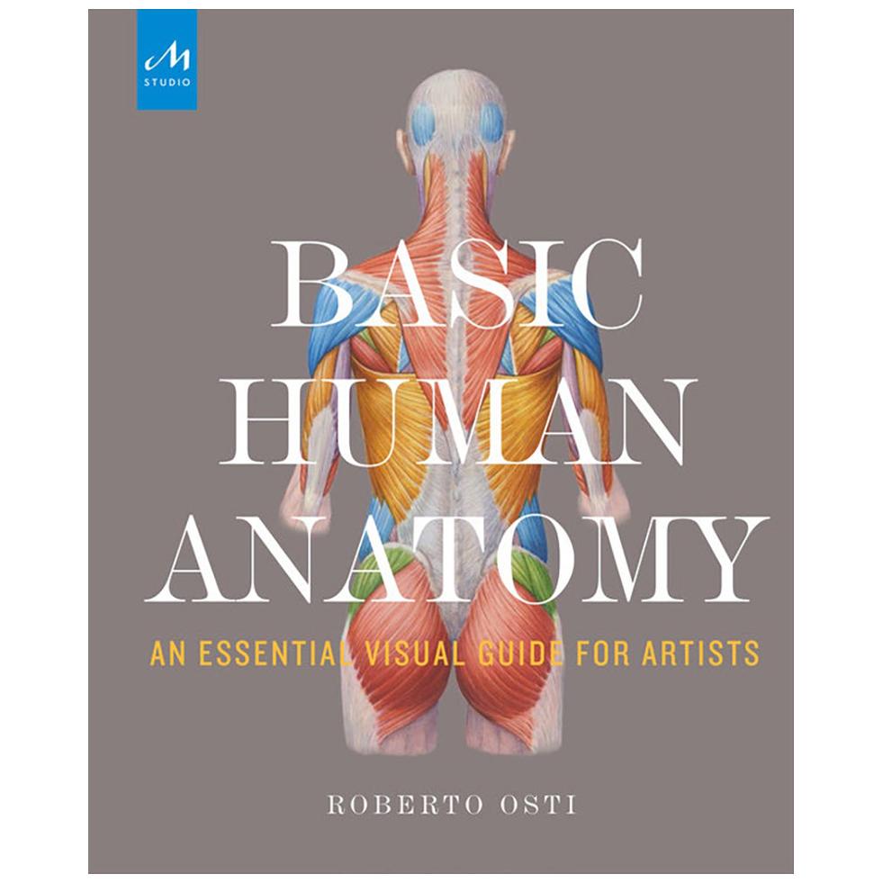 Human Anatomie der Künste