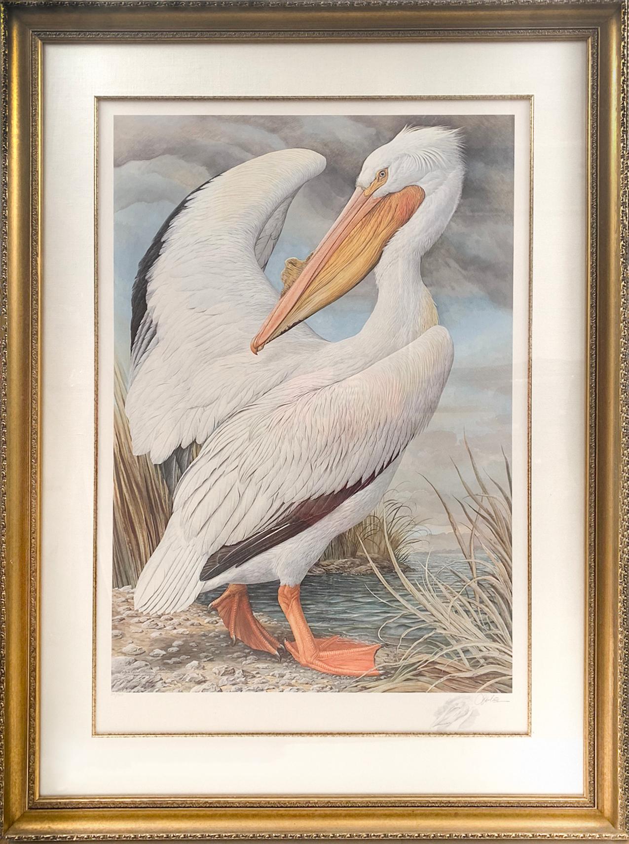 Basil Ede Animal Print - White Pelican
