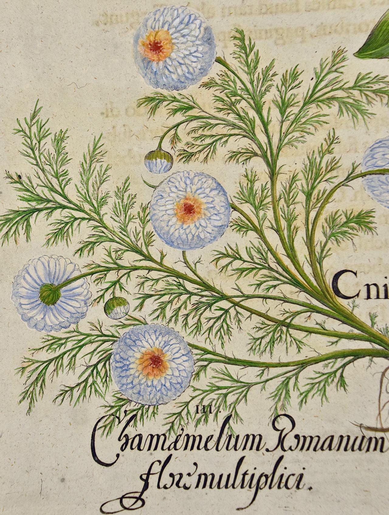 This is a hand-colored copper plate engraving entitled 