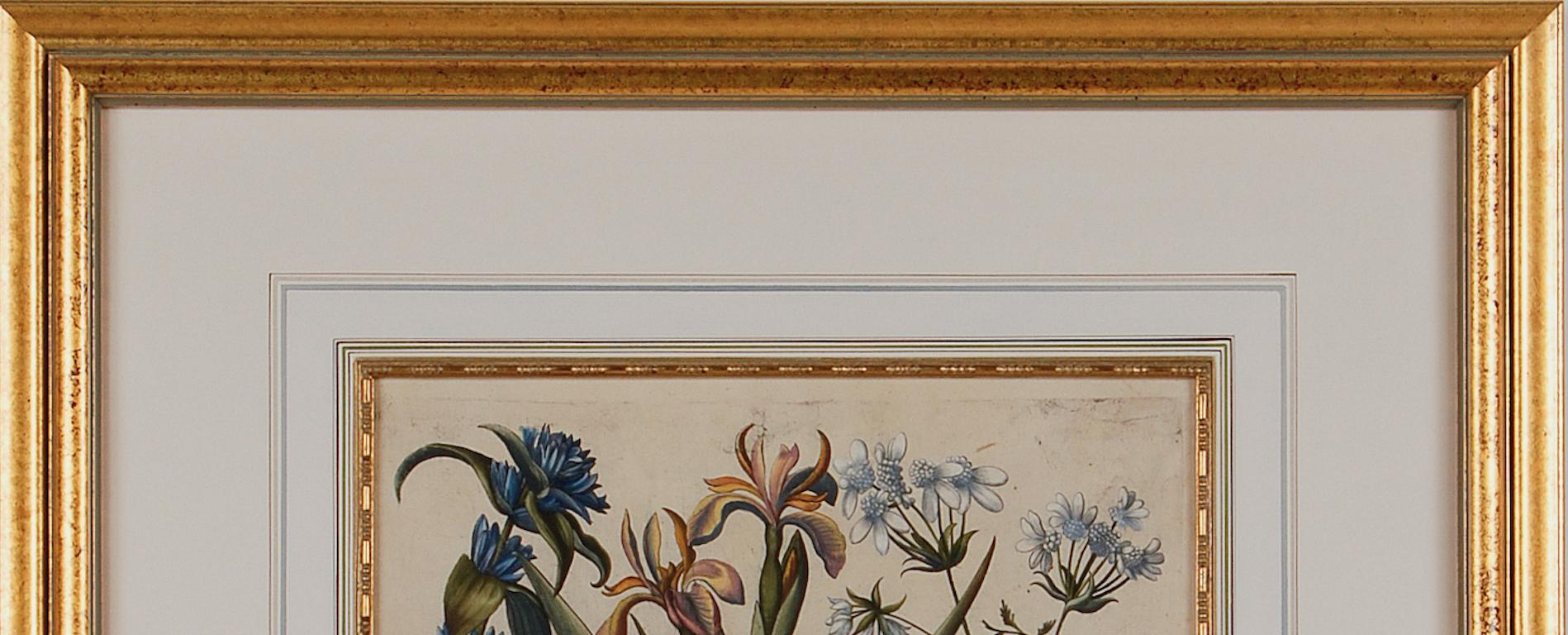 Iris und andere botanische Blumen: Gerahmte, handkolorierte Gravur von Besler aus dem 17. Jahrhundert im Angebot 2