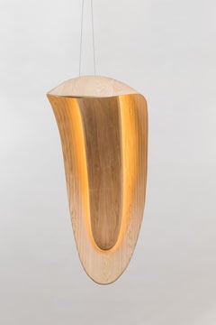 Basin Series Light Sculpture I, USA