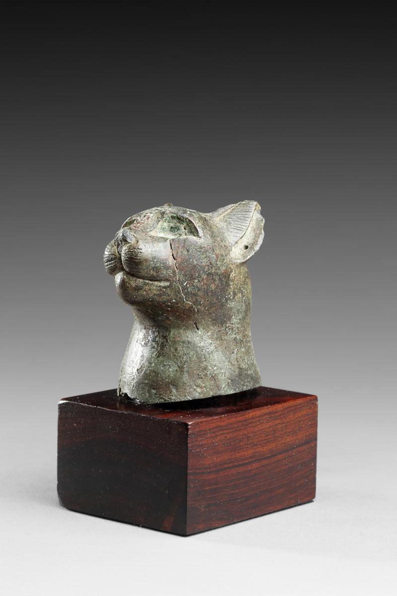 18th Century and Earlier Bast Head, Egypt, Late Period or Ptolemaic Period For Sale