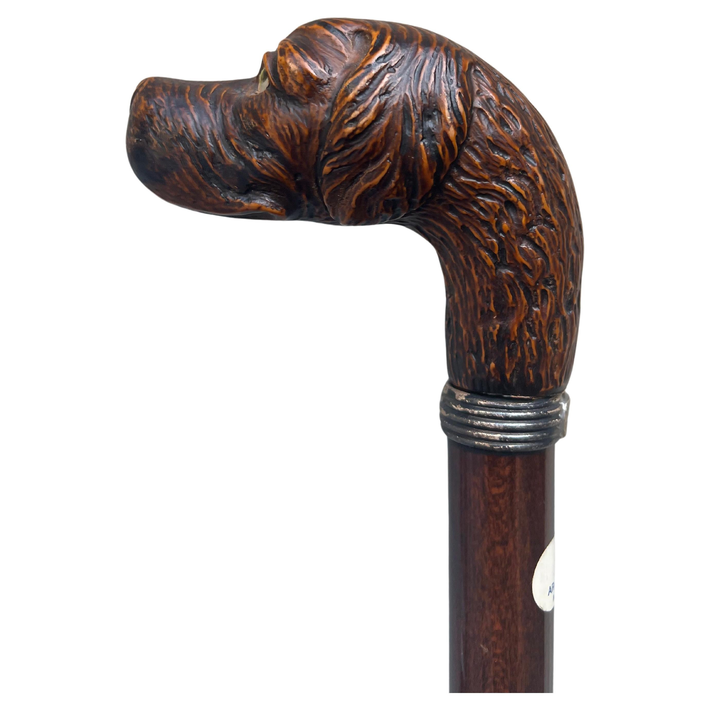 bastone - bastone animali - bastone testa cane - Stock - Holzstock - Vintage im Angebot