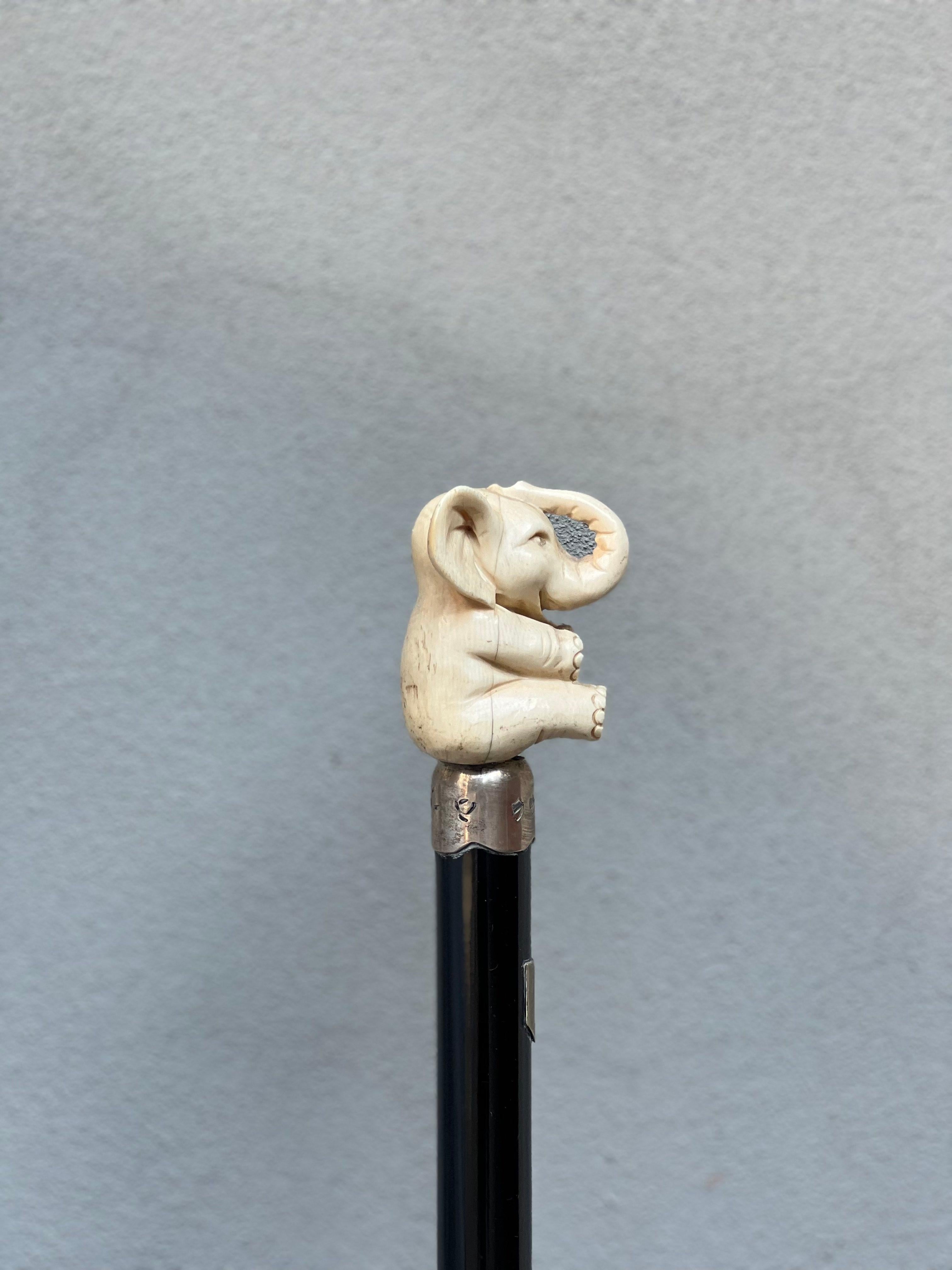 Italian bastone in osso - testa di elefante - elephant - osso - argento - xx Secolo  For Sale