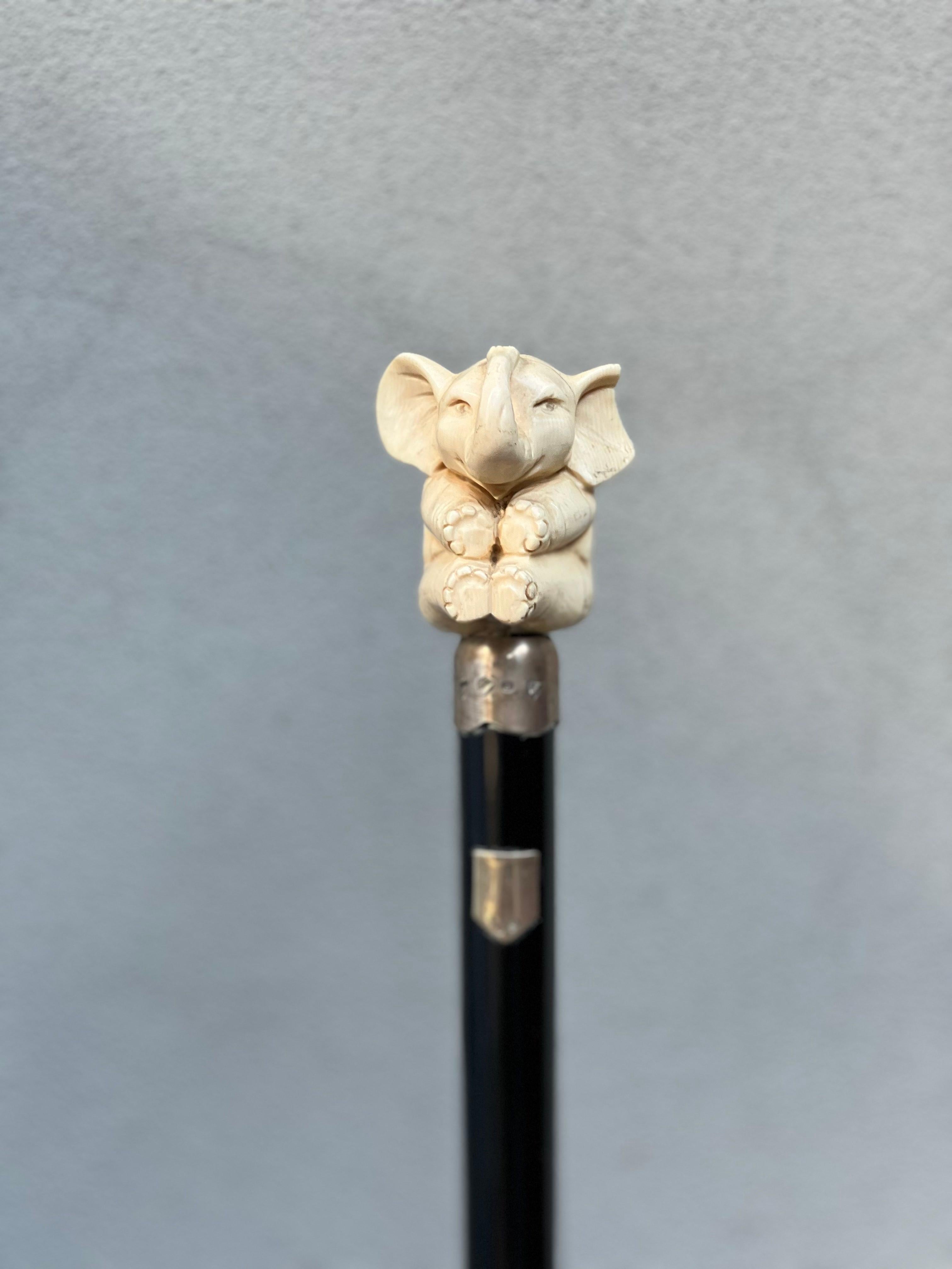 bastone in osso - testa di elefante - Elefant - osso - argento - xx Secolo (20. Jahrhundert) im Angebot