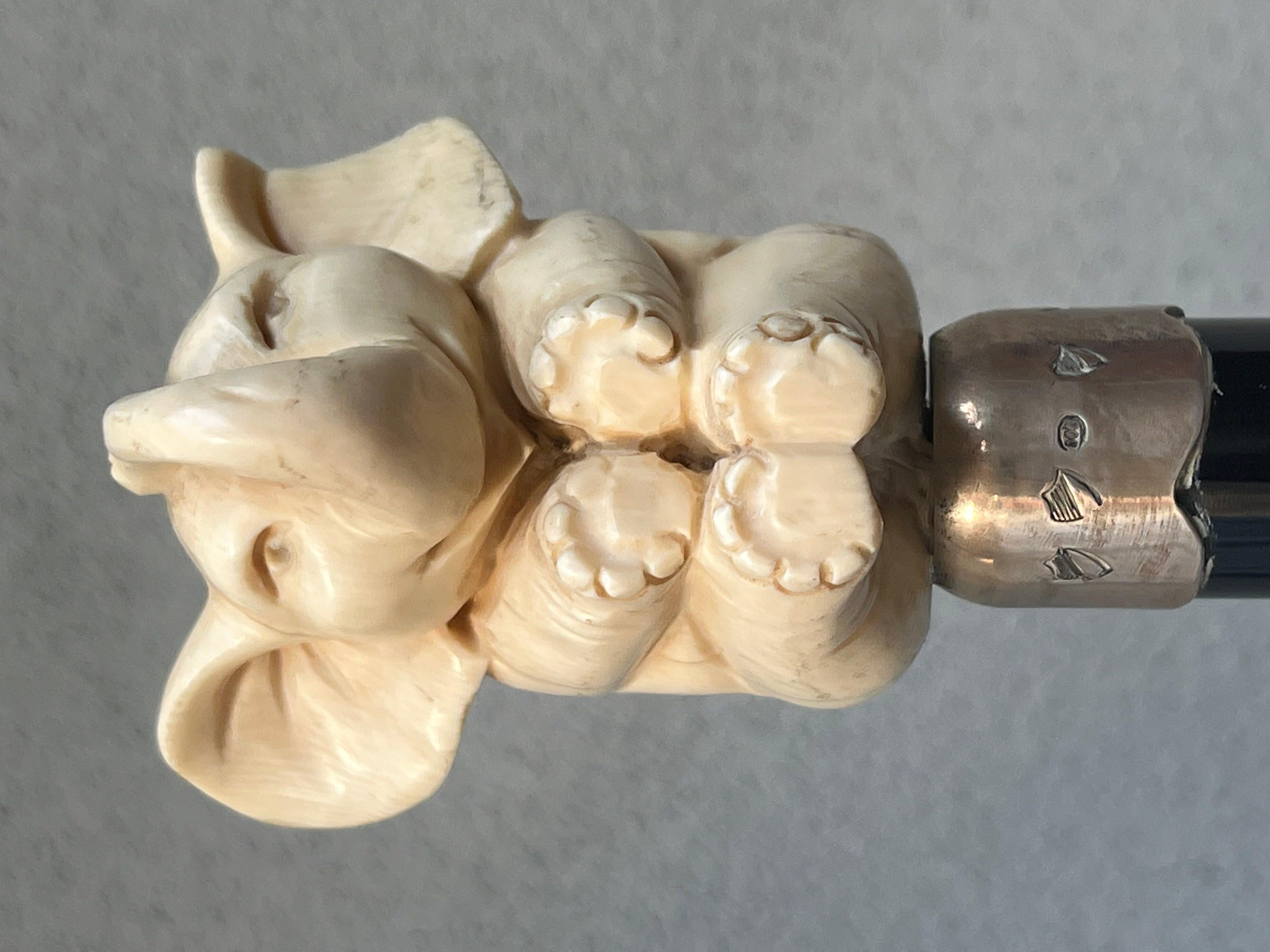 20th Century bastone in osso - testa di elefante - elephant - osso - argento - xx Secolo  For Sale