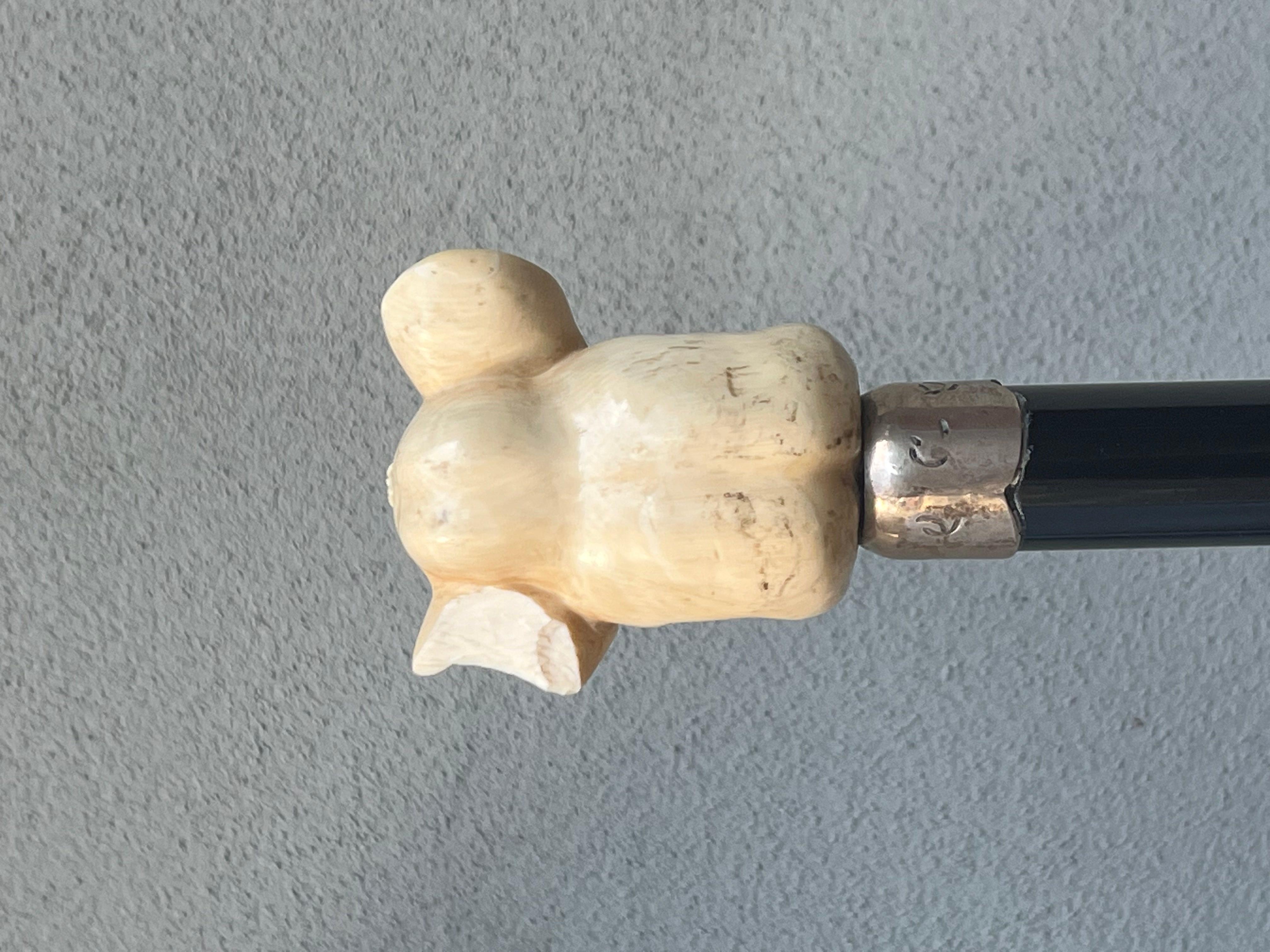 bastone in osso - testa di elefante - elephant - osso - argento - xx Secolo  For Sale 1