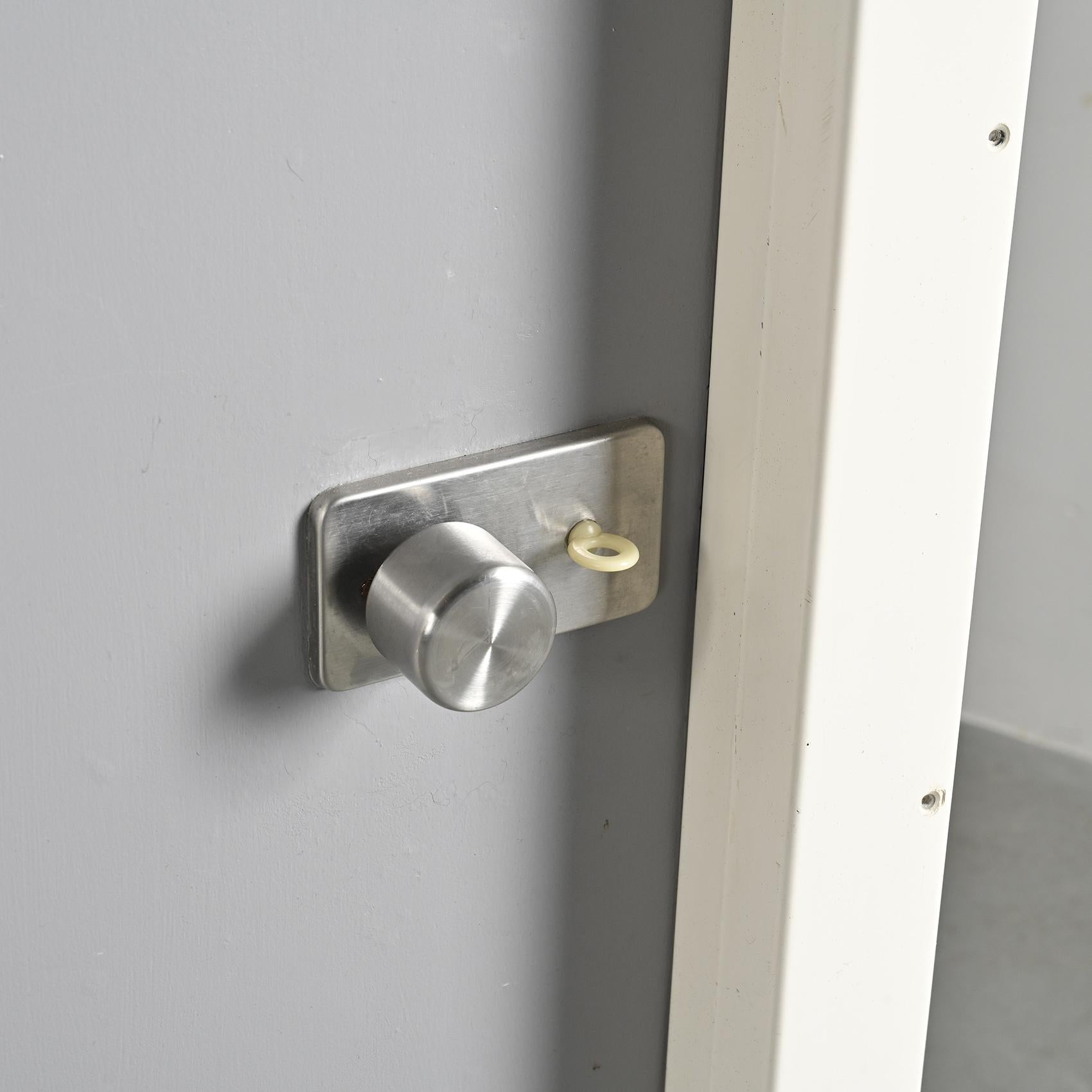 Bathroom Fiberglass Door by Charlotte Perriand, circa 1980 Fibra de vidrio en venta