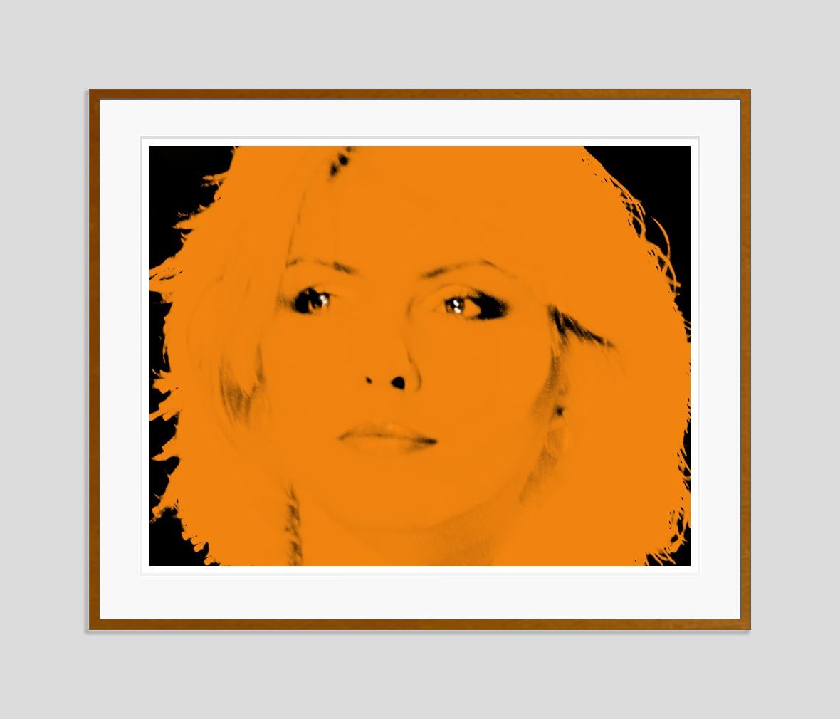 Blondie Orange by BATIK For Sale 1