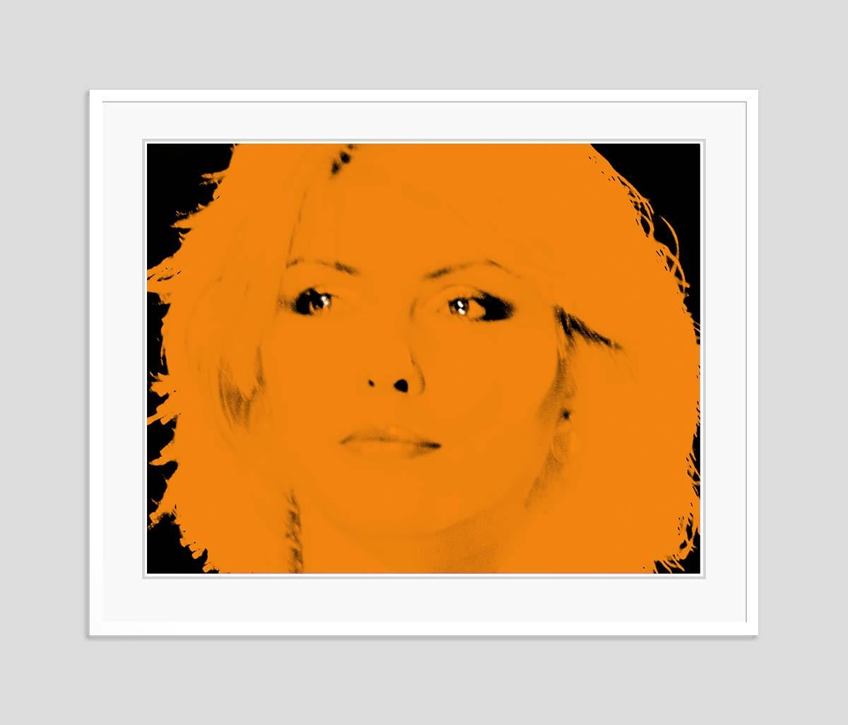 Blondie Orange by BATIK For Sale 2