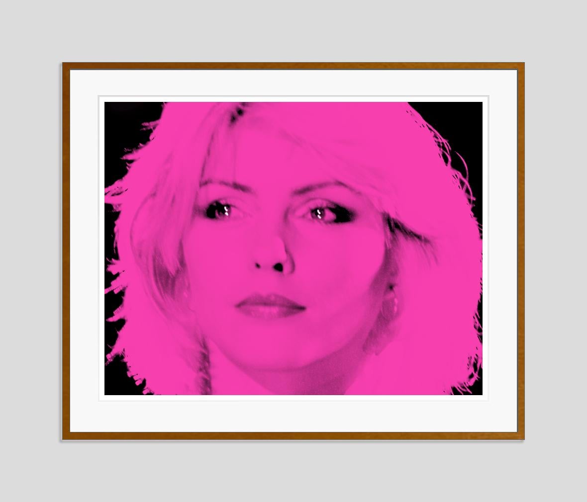 Blondie Pink  by BATIK For Sale 1