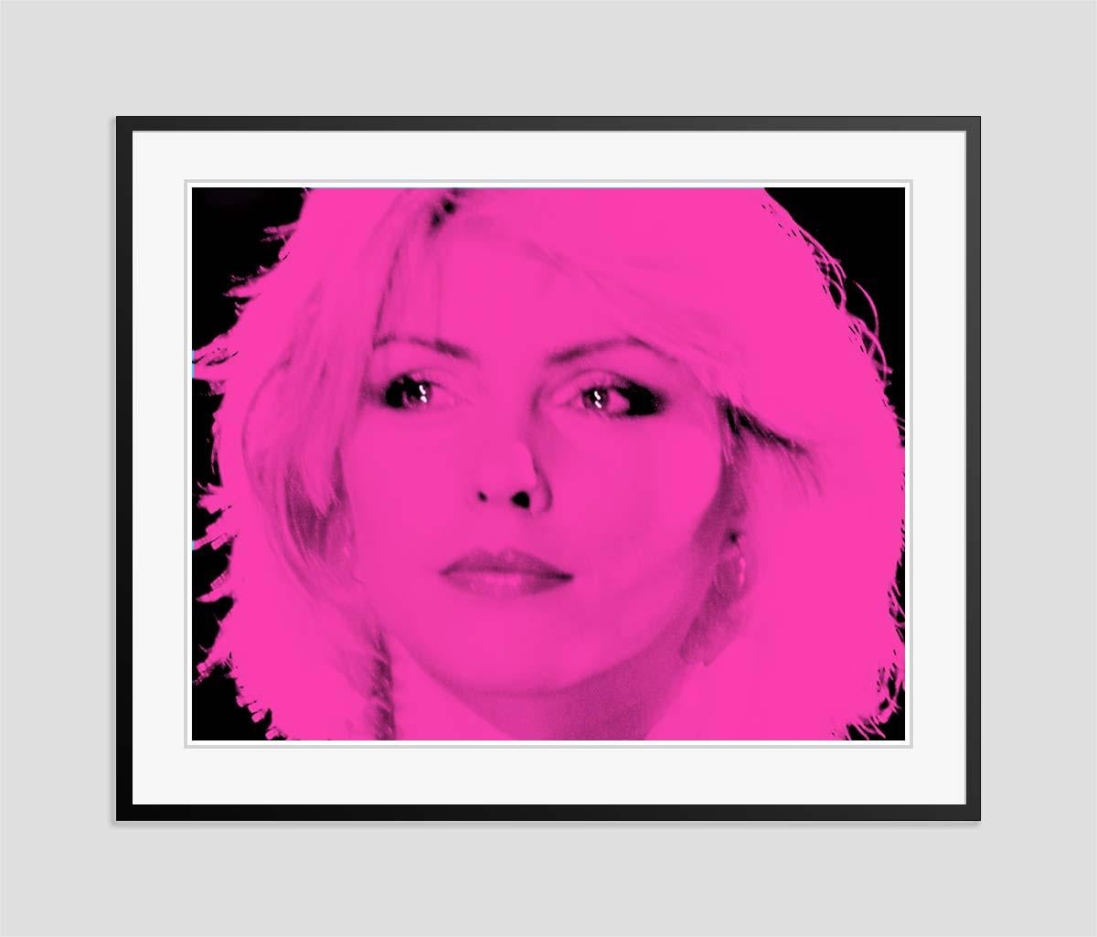 Blondie Pink by BATIK For Sale 3