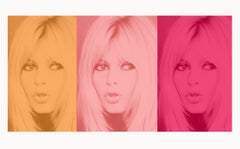 Pink Bardot Triptych by BATIK