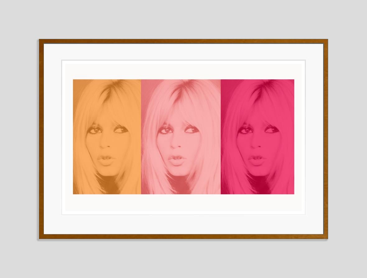 Rosa Bardot-D Triptychon von BATIK im Angebot 1