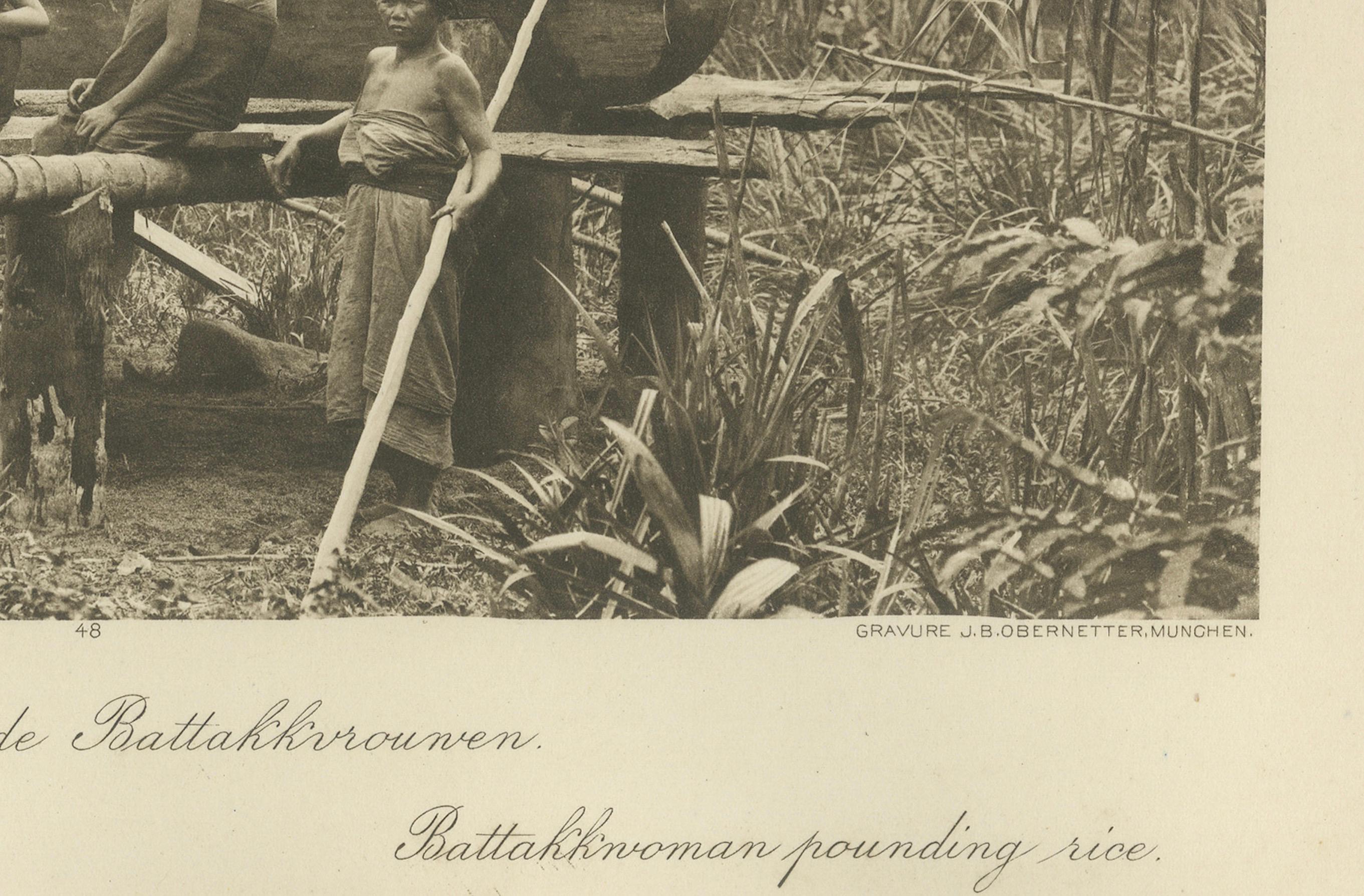 Batik, Reis sieben & Frauen bei der Arbeit - Antike Photogravüre von Batak Menschen um 1900

Eine außergewöhnliche Original-Fotogravüre aus der Zeit um 1900, herausgegeben von dem renommierten Studio G.R. Lambert & Co., die Frauen der Batak-Ethnie