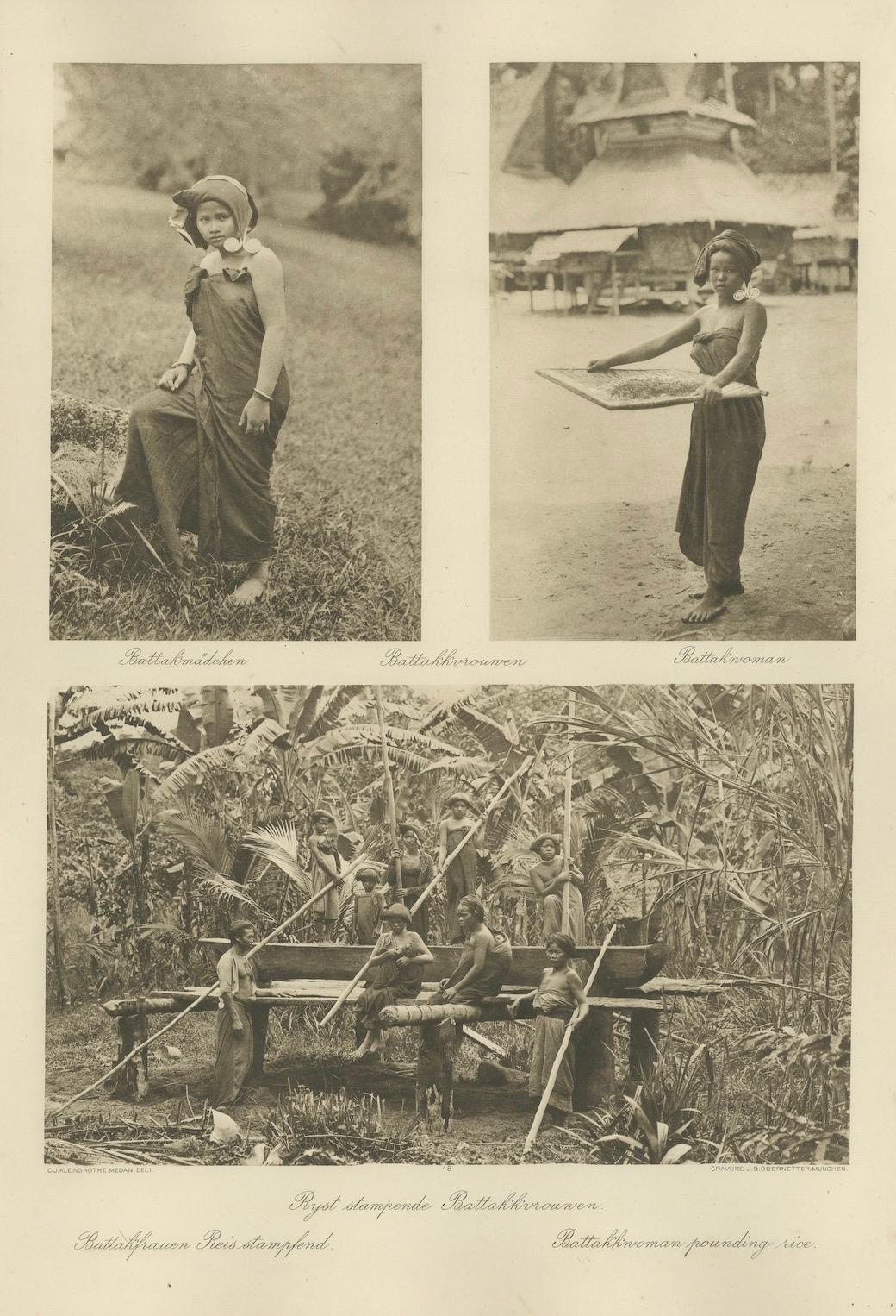 Batik, Reis sieben & Frauen bei der Arbeit - Antike Photogravüre von Batak People 1900 im Angebot 2