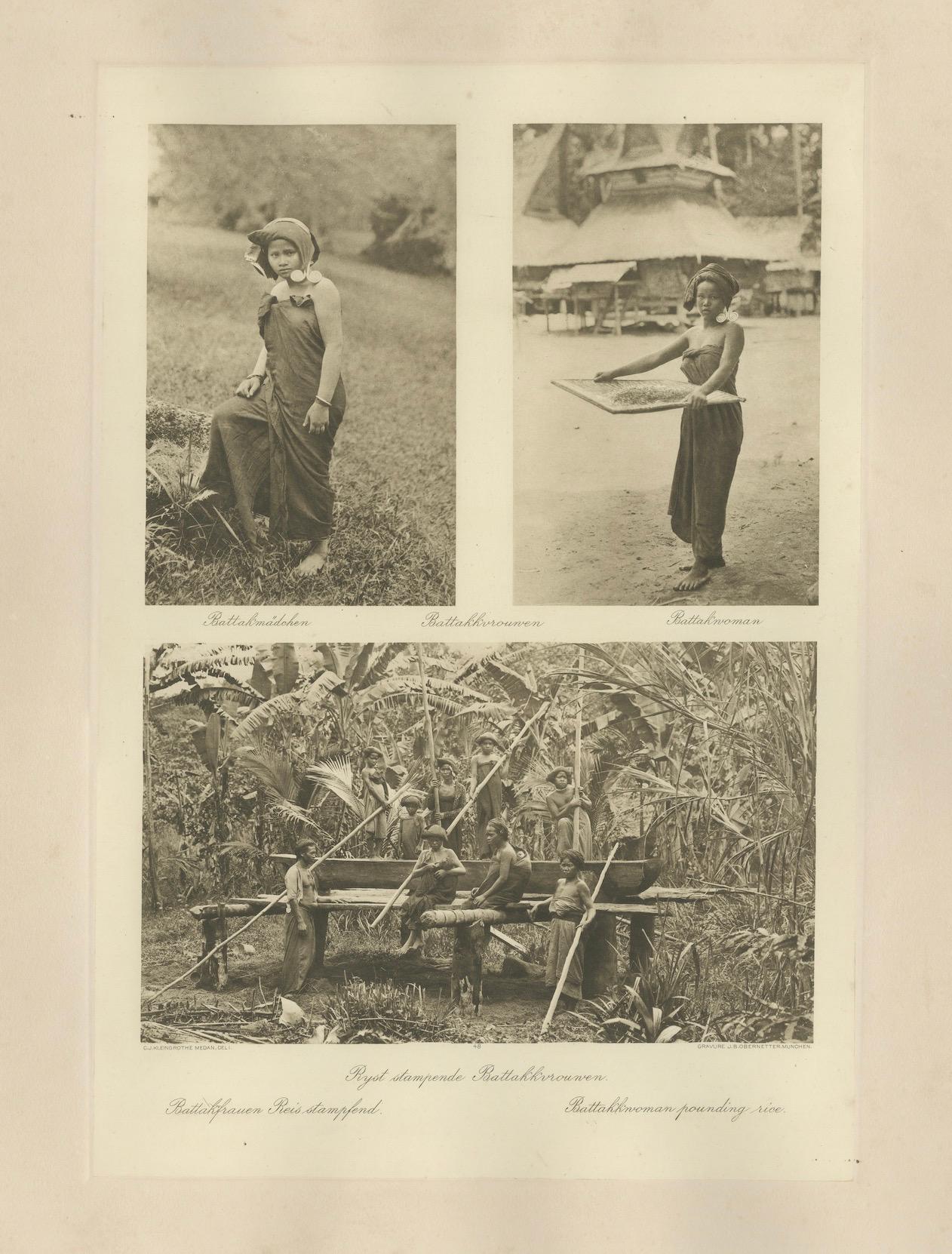Batik, Reis sieben & Frauen bei der Arbeit - Antike Photogravüre von Batak People 1900 im Angebot 3