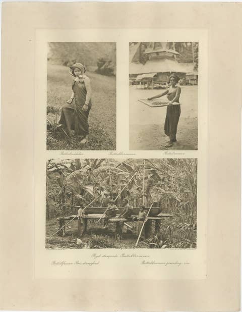 Batik, Sifting Rice & Women Working – Antique Photogravure of Batak People 1900