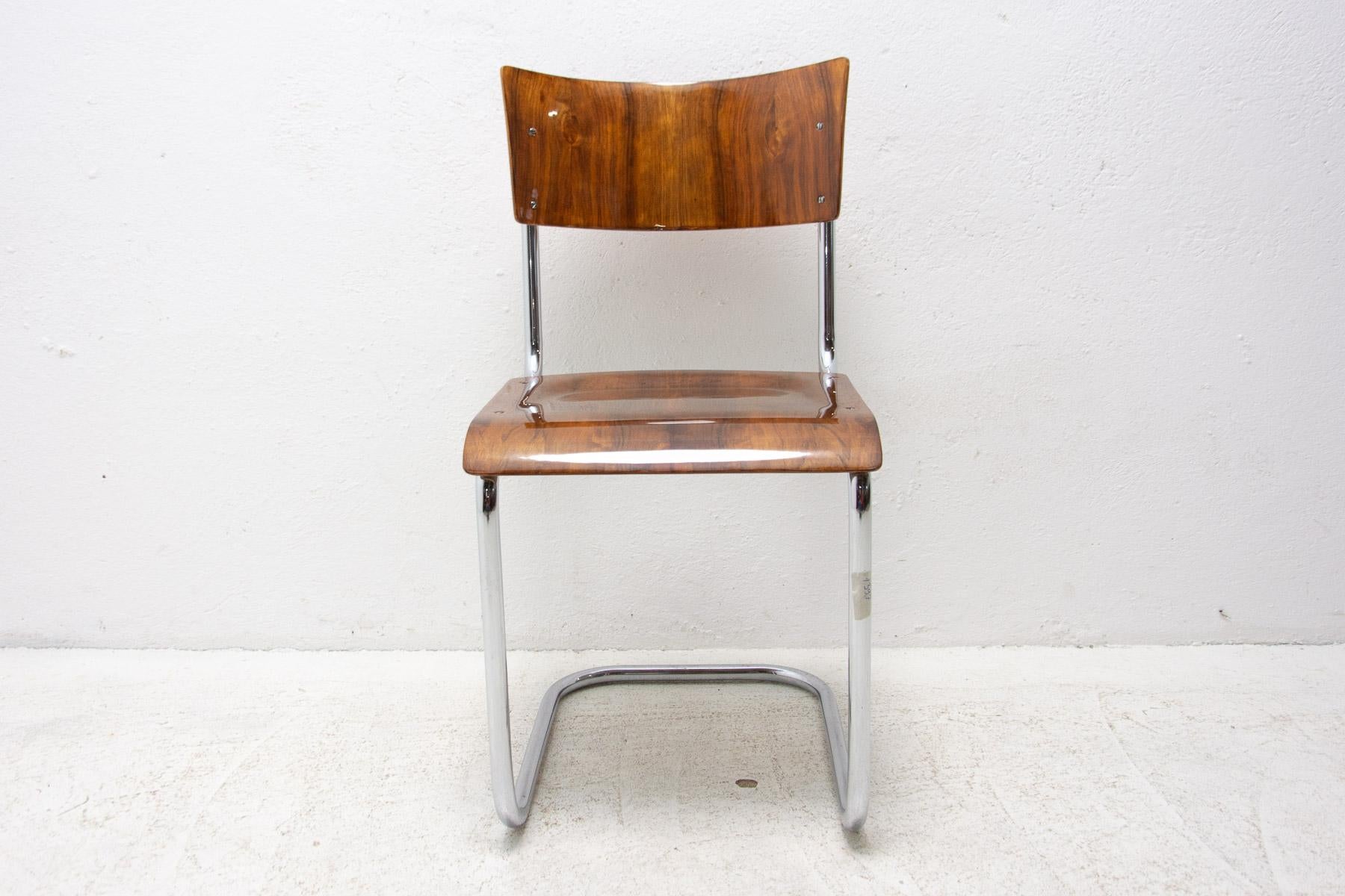 Bauhaus chair S43 by Mart Stam, 1930´s 3