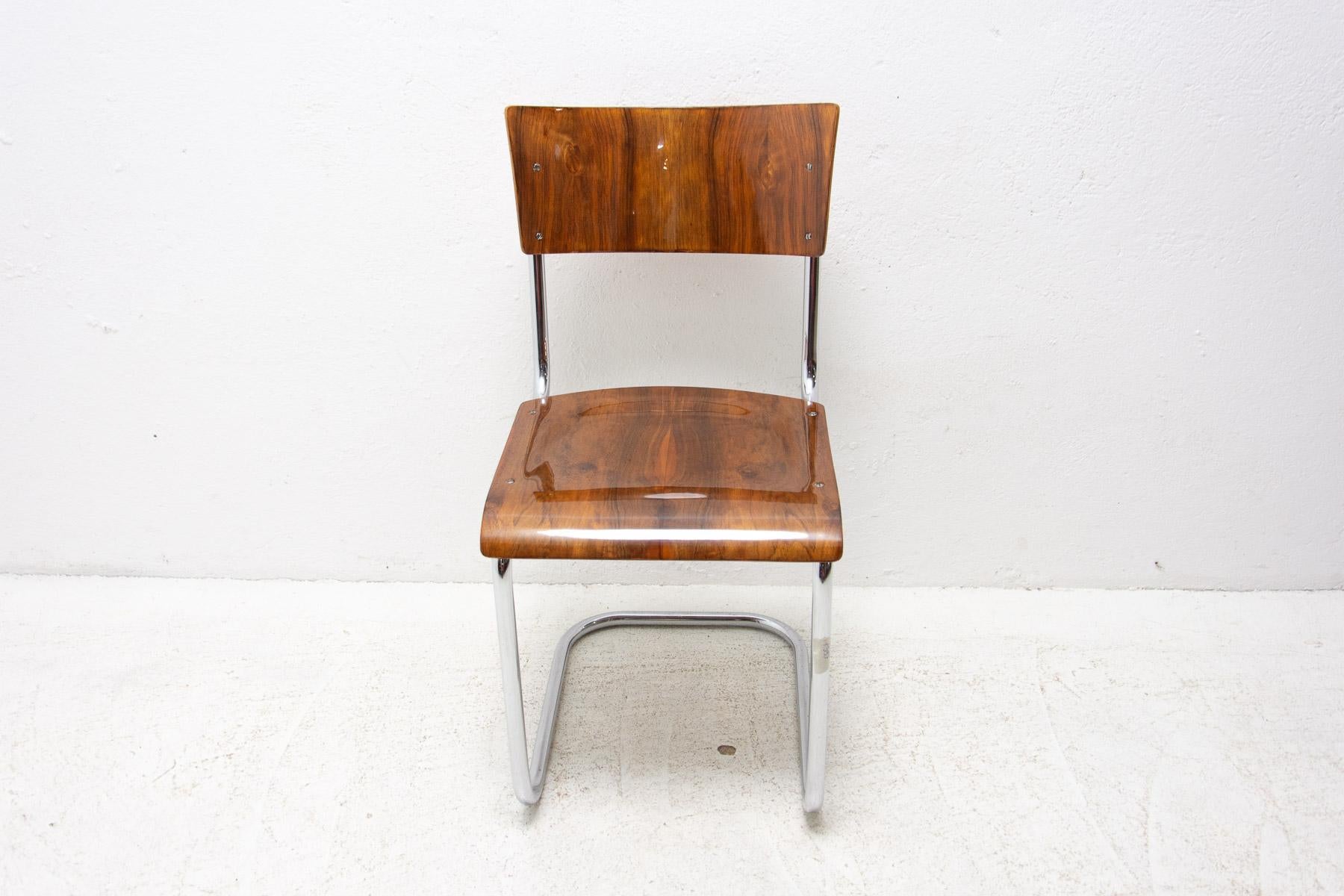Bauhaus chair S43 by Mart Stam, 1930´s 4