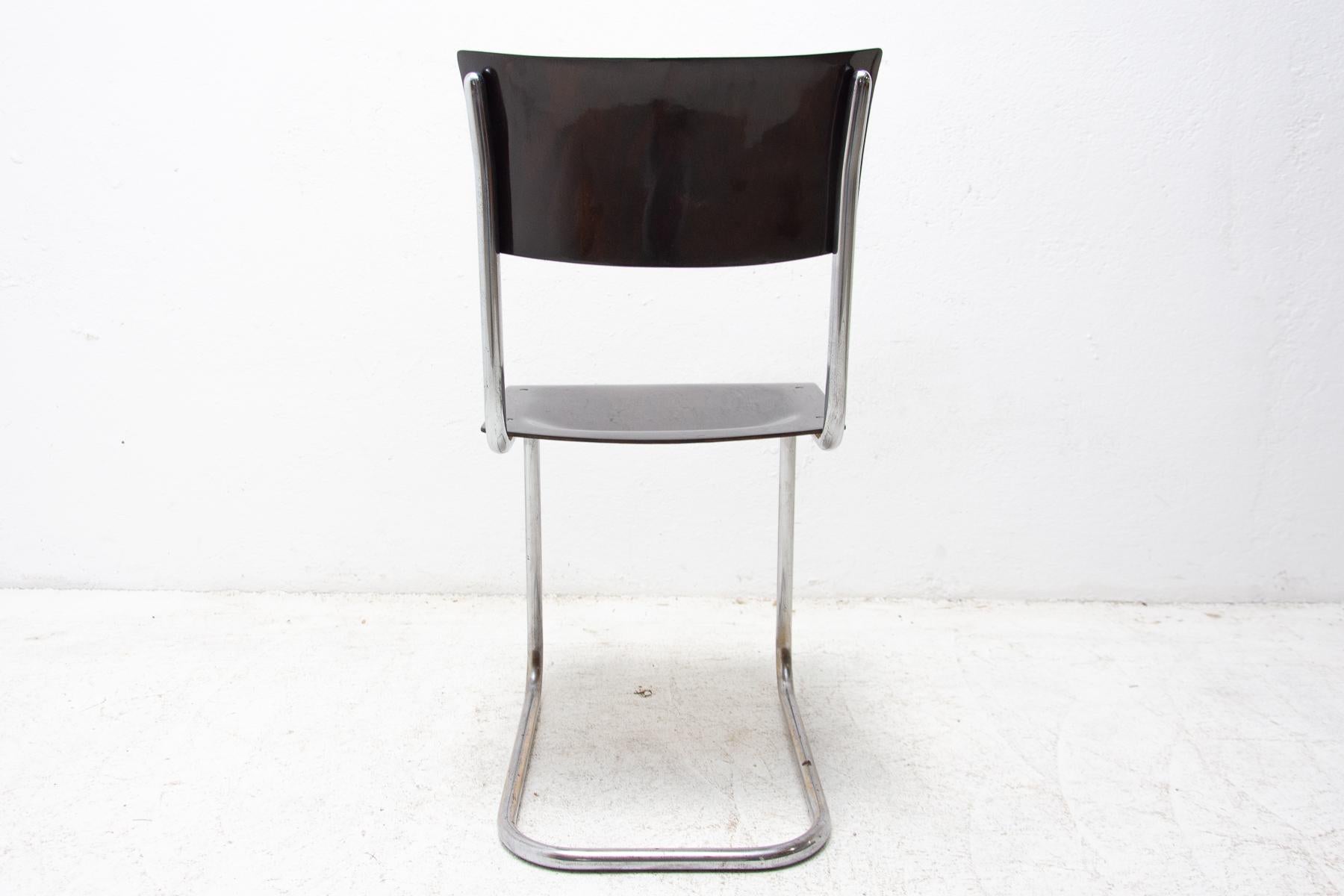 Sedia Bauhaus S43 di Mart Stam, 1930 in vendita 5