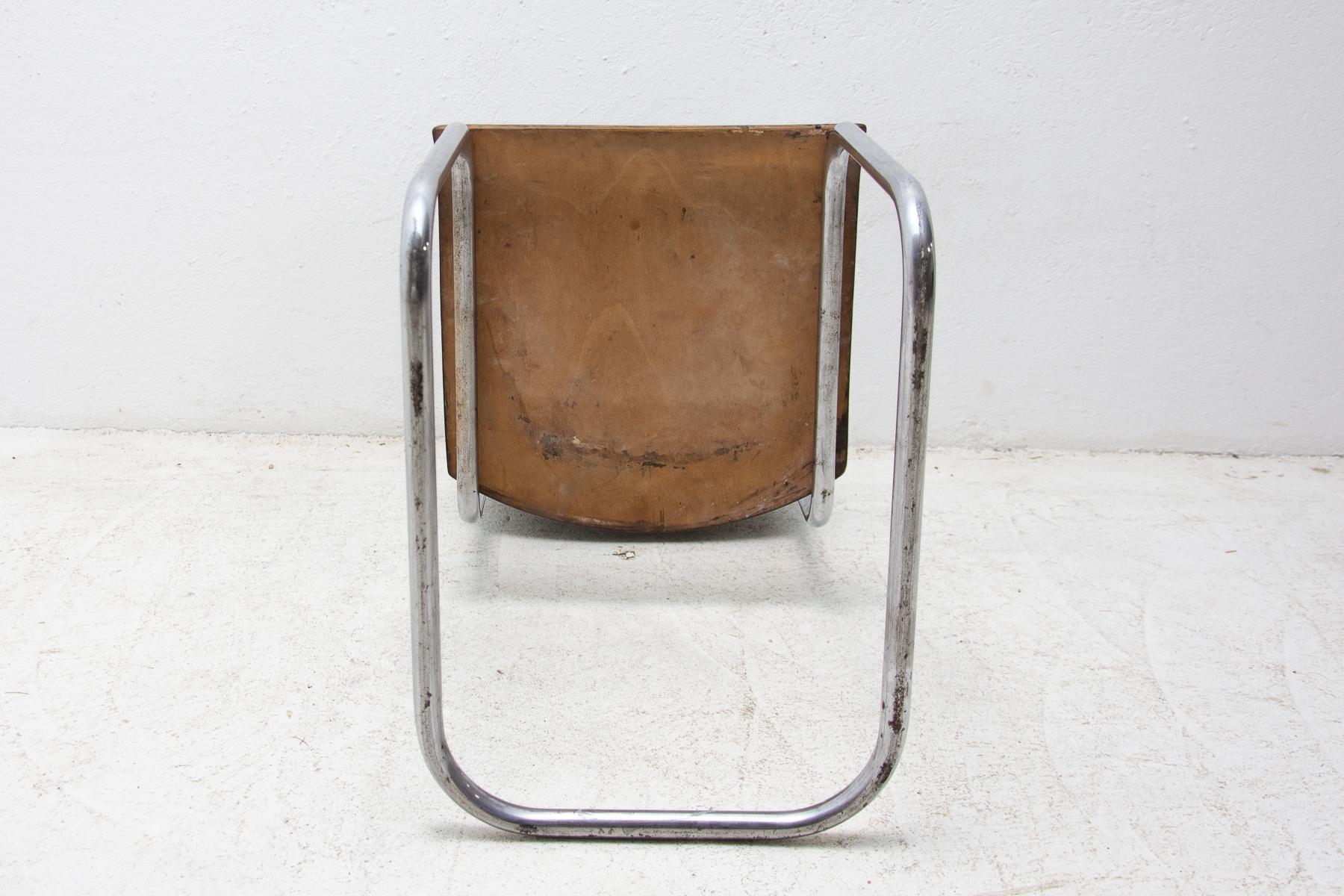 Bauhaus Chair S43 by Mart Stam, 1930´s 6