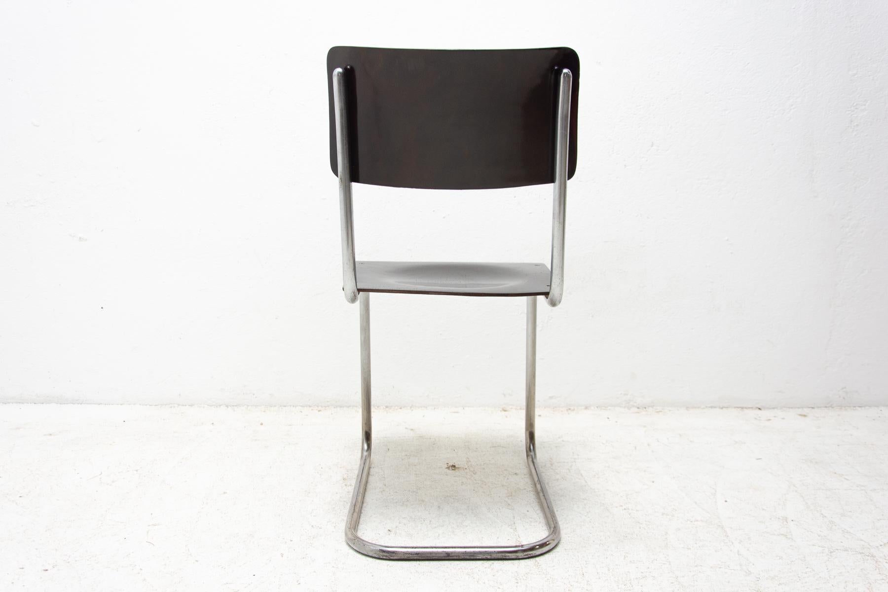 Bauhaus Chair S43 by Mart Stam, 1930´s 5