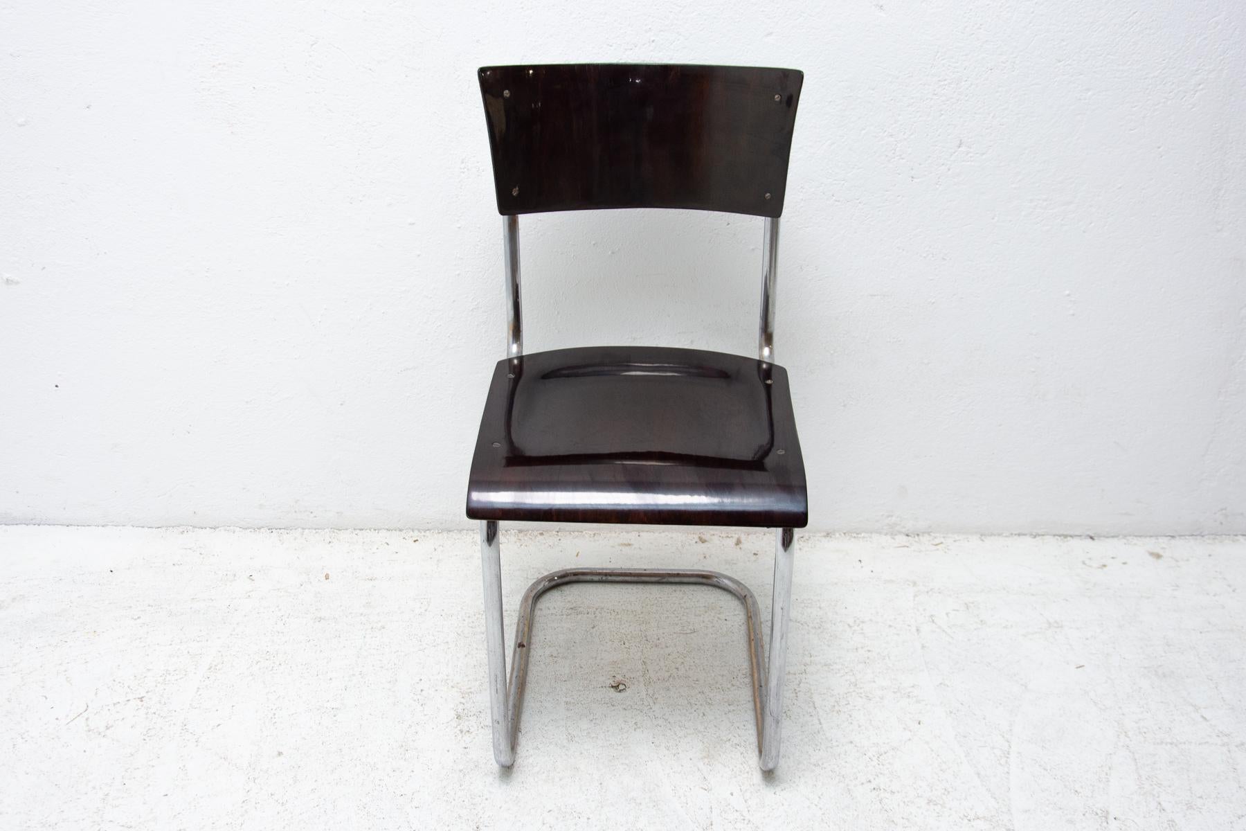 Czech Bauhaus Chair S43 by Mart Stam, 1930´s