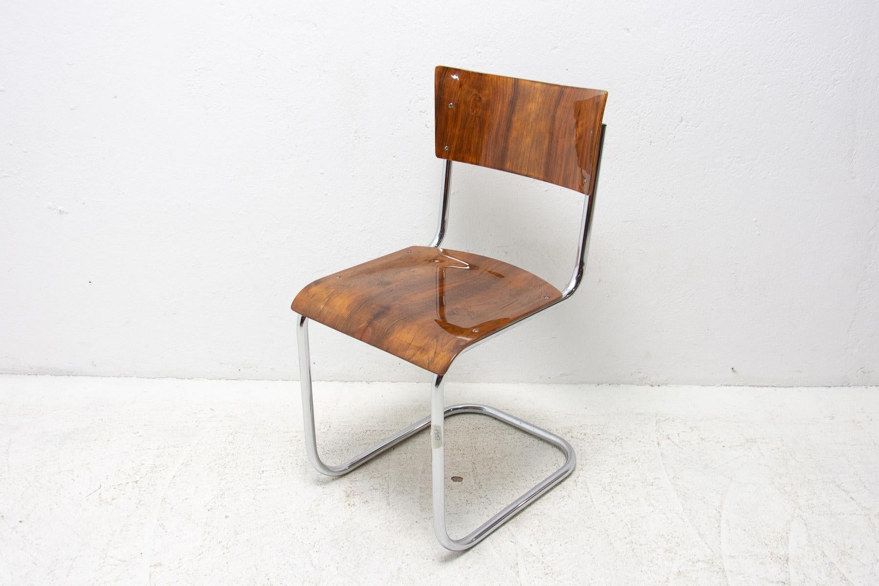 Czech Bauhaus chair S43 by Mart Stam, 1930´s