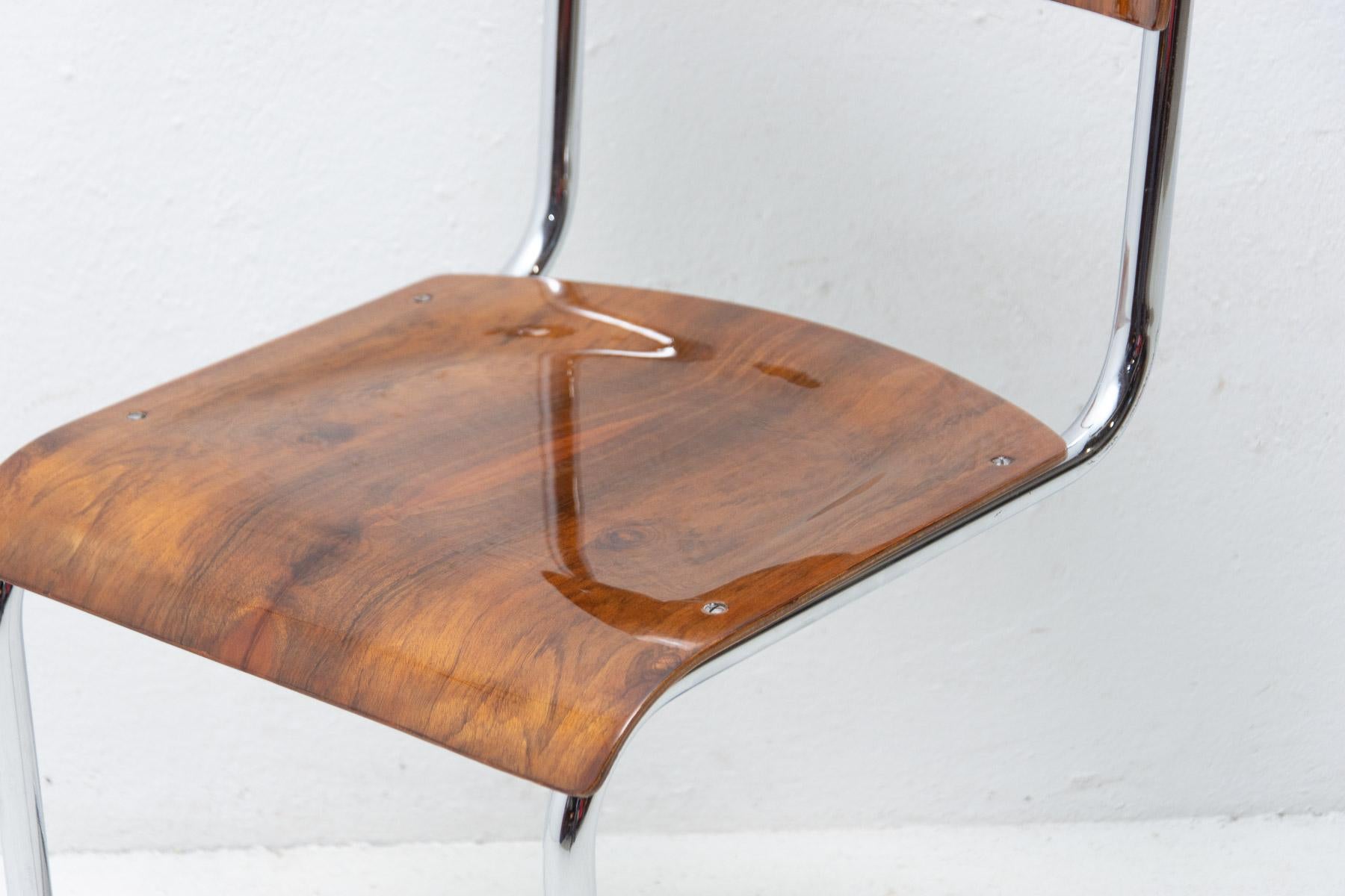 Veneer Bauhaus chair S43 by Mart Stam, 1930´s
