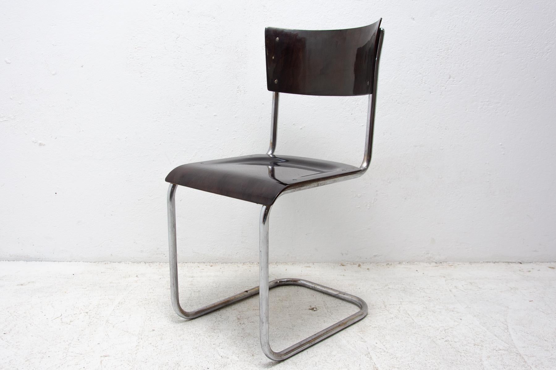 20th Century Bauhaus Chair S43 by Mart Stam, 1930´s