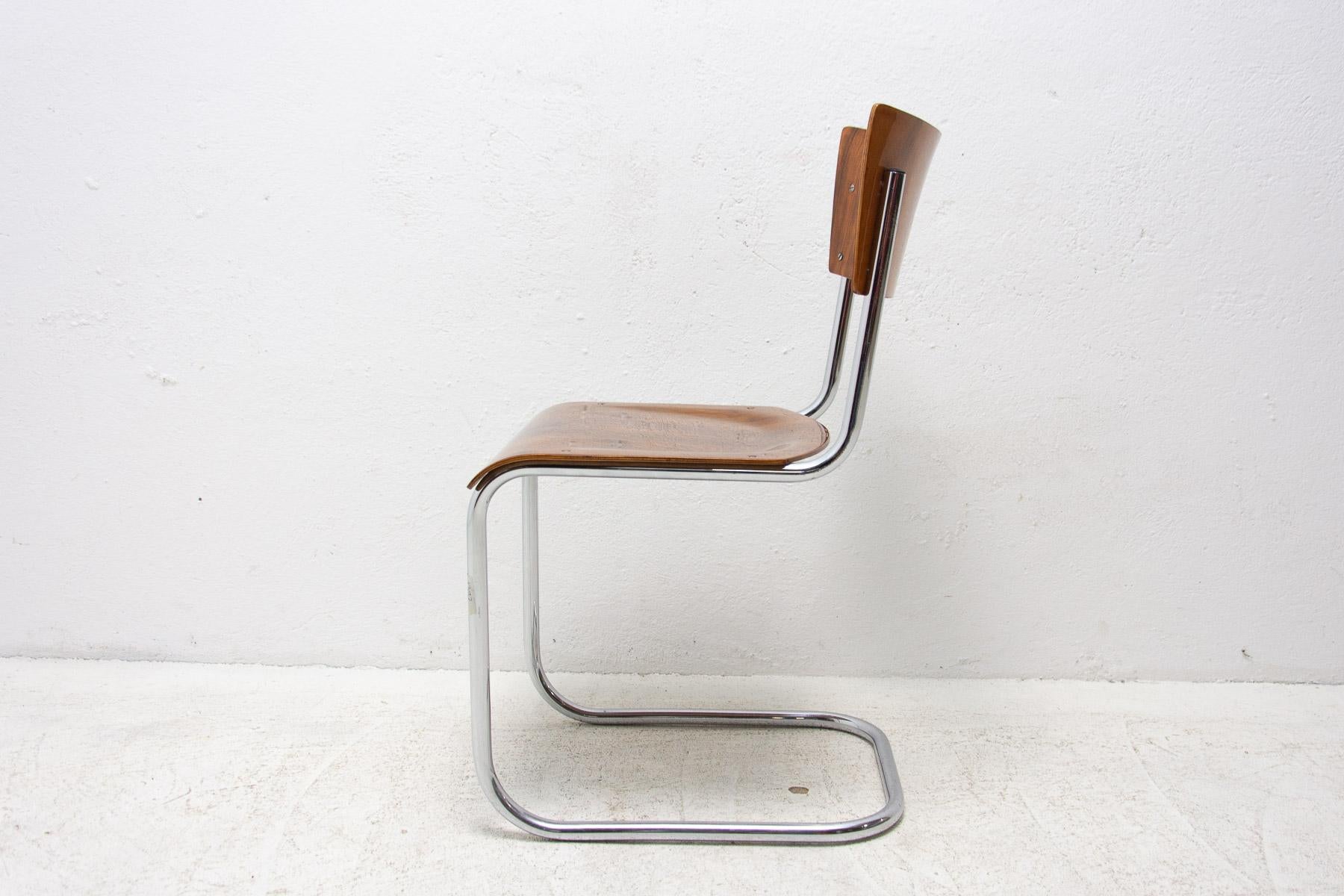 20th Century Bauhaus chair S43 by Mart Stam, 1930´s