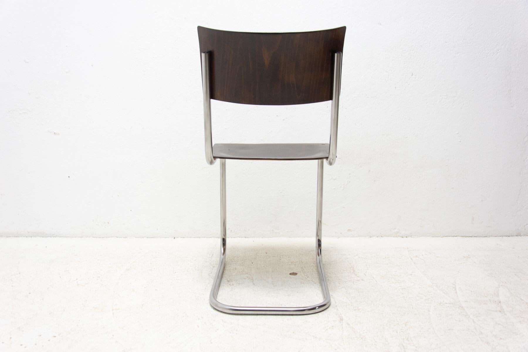 20th Century Bauhaus Chair S43 by Mart Stam, 1930s For Sale