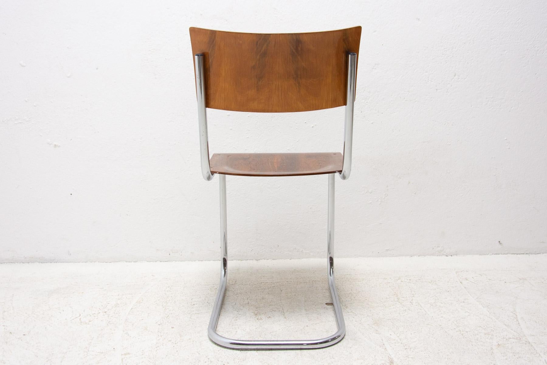 Bauhaus chair S43 by Mart Stam, 1930´s 1