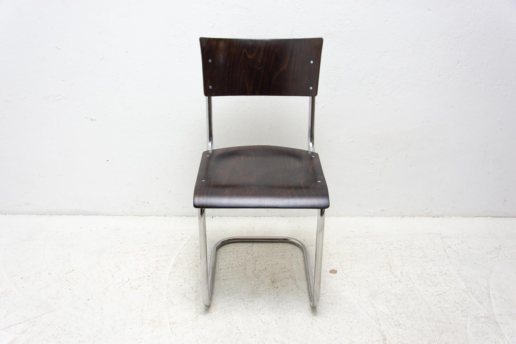 Bauhaus Chair S43 by Mart Stam, 1930s For Sale 2