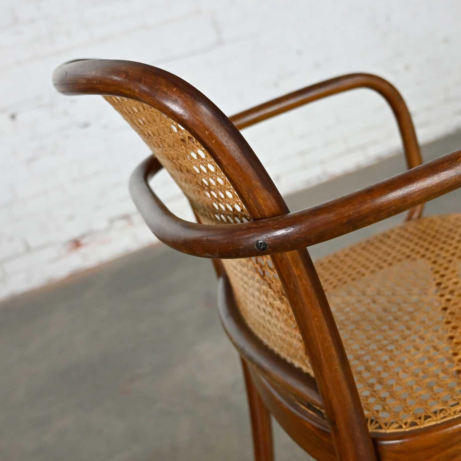 Bauhaus Oak Bentwood & Cane Josef Hoffman Prague 811 Chair for Stendig by Thonet 3