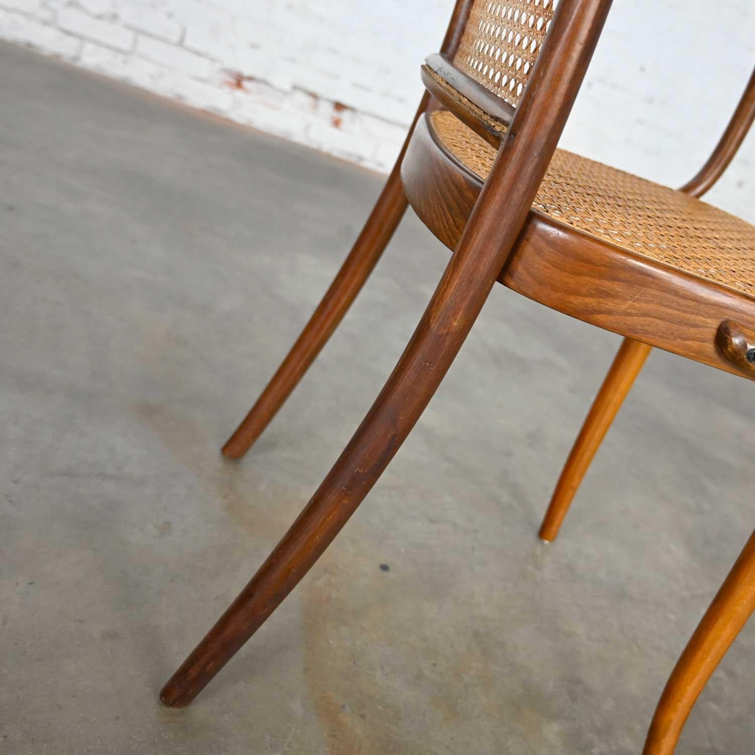 Bauhaus Oak Bentwood & Cane Josef Hoffman Prague 811 Chair for Stendig by Thonet 4