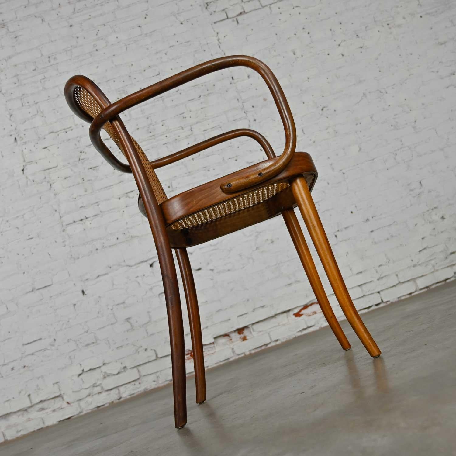 Czech Bauhaus Oak Bentwood & Cane Josef Hoffman Prague 811 Chair for Stendig by Thonet