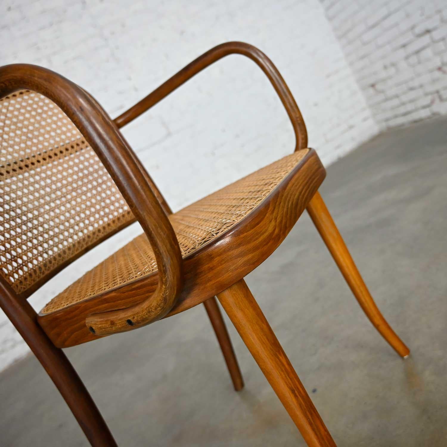 Bauhaus Oak Bentwood & Cane Josef Hoffman Prague 811 Chair for Stendig by Thonet In Good Condition In Topeka, KS