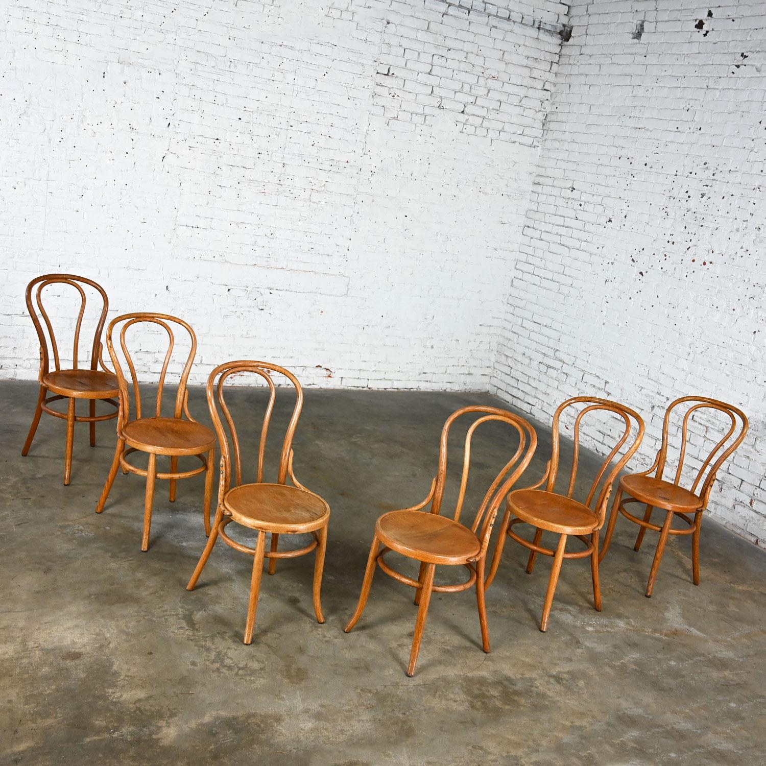 Bauhaus Oak Bentwood Chairs Attributed to Thonet #18 Café Chair Set of 6 For Sale 6