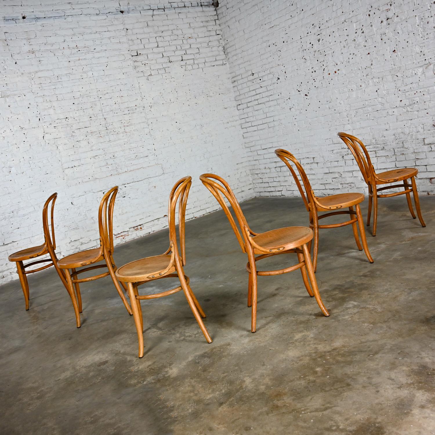 Bauhaus Oak Bentwood Chairs Attributed to Thonet #18 Café Chair Set of 6 For Sale 7