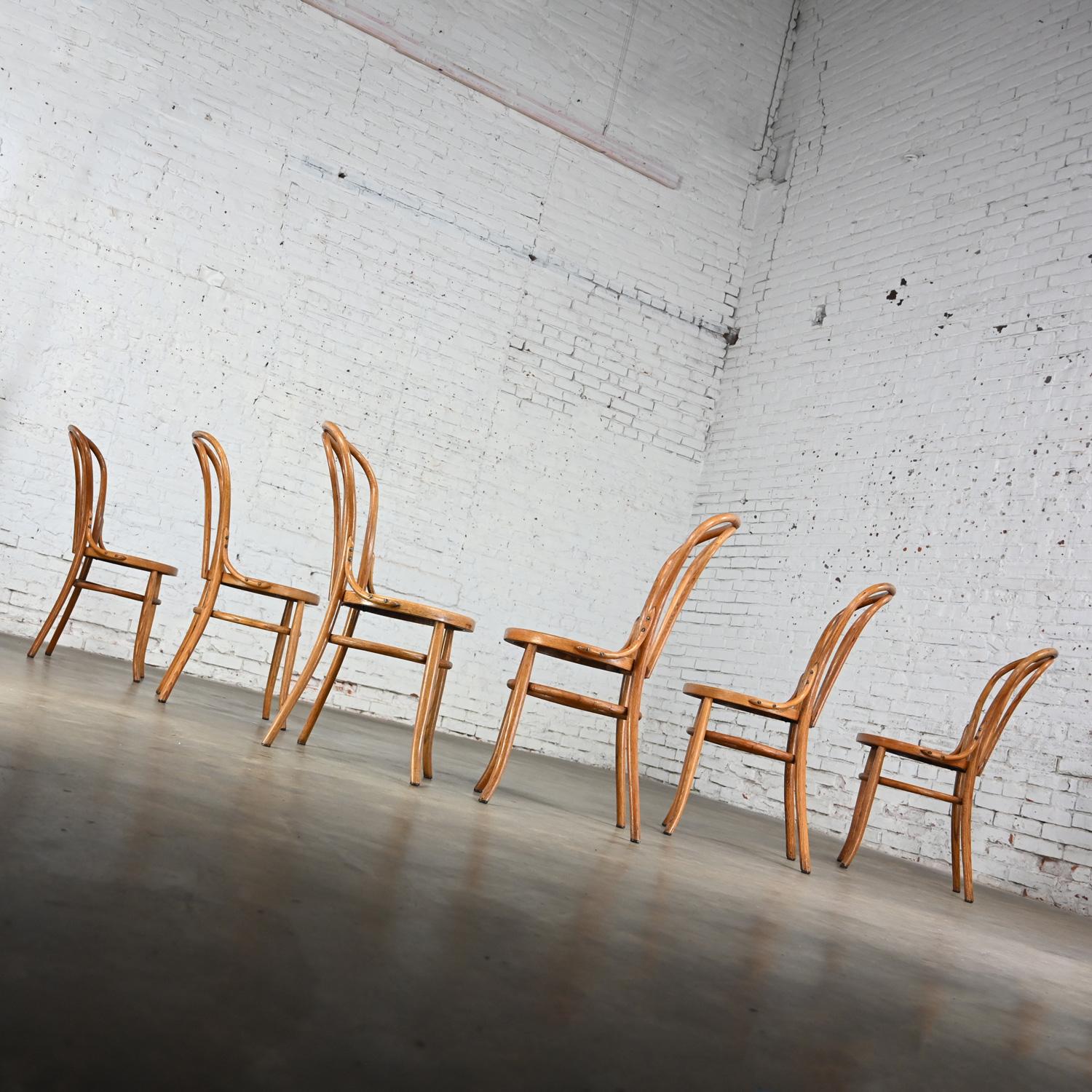 Bauhaus Oak Bentwood Chairs Attributed to Thonet #18 Café Chair Set of 6 For Sale 8