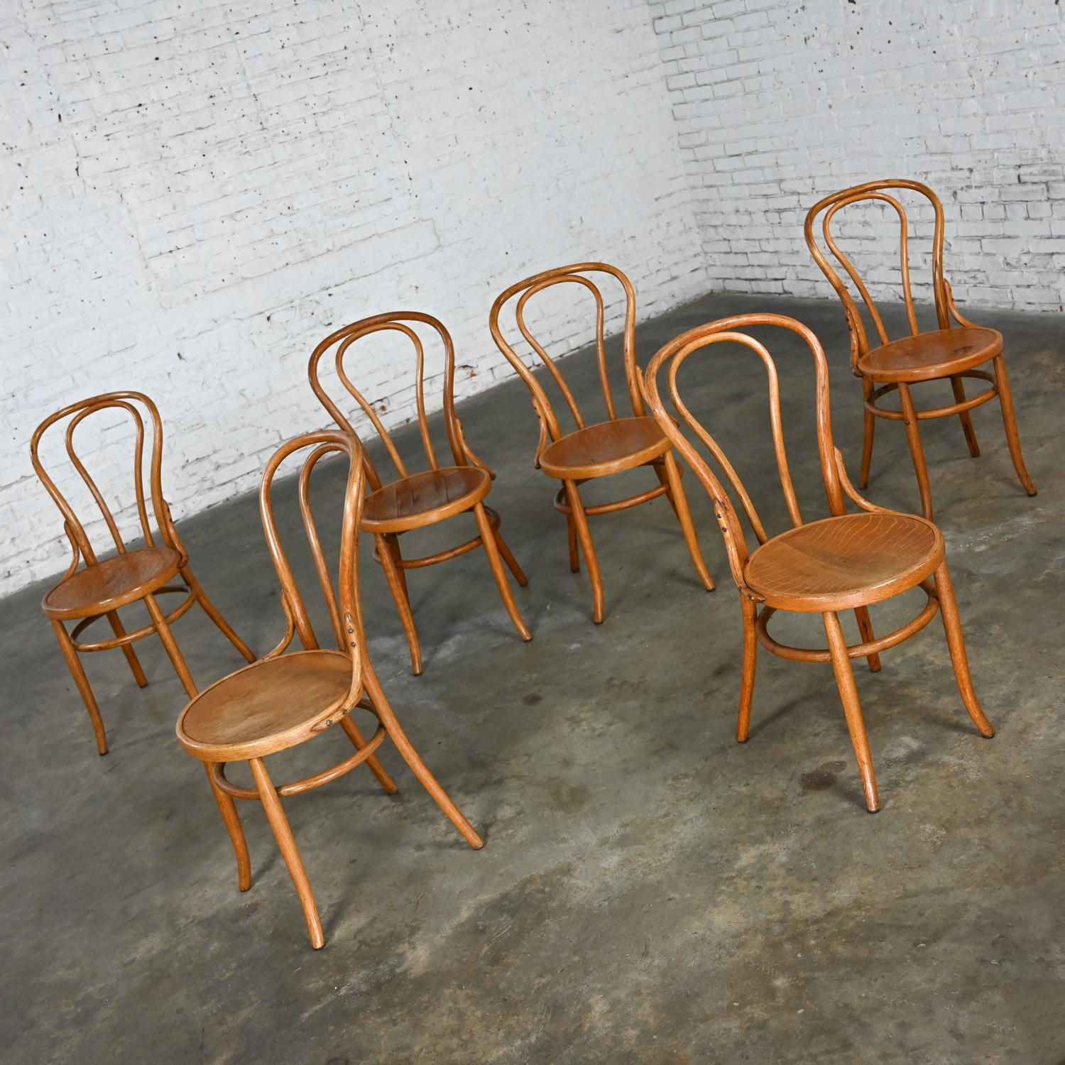 Bauhaus Oak Bentwood Chairs Attributed to Thonet #18 Café Chair Set of 6 For Sale 9