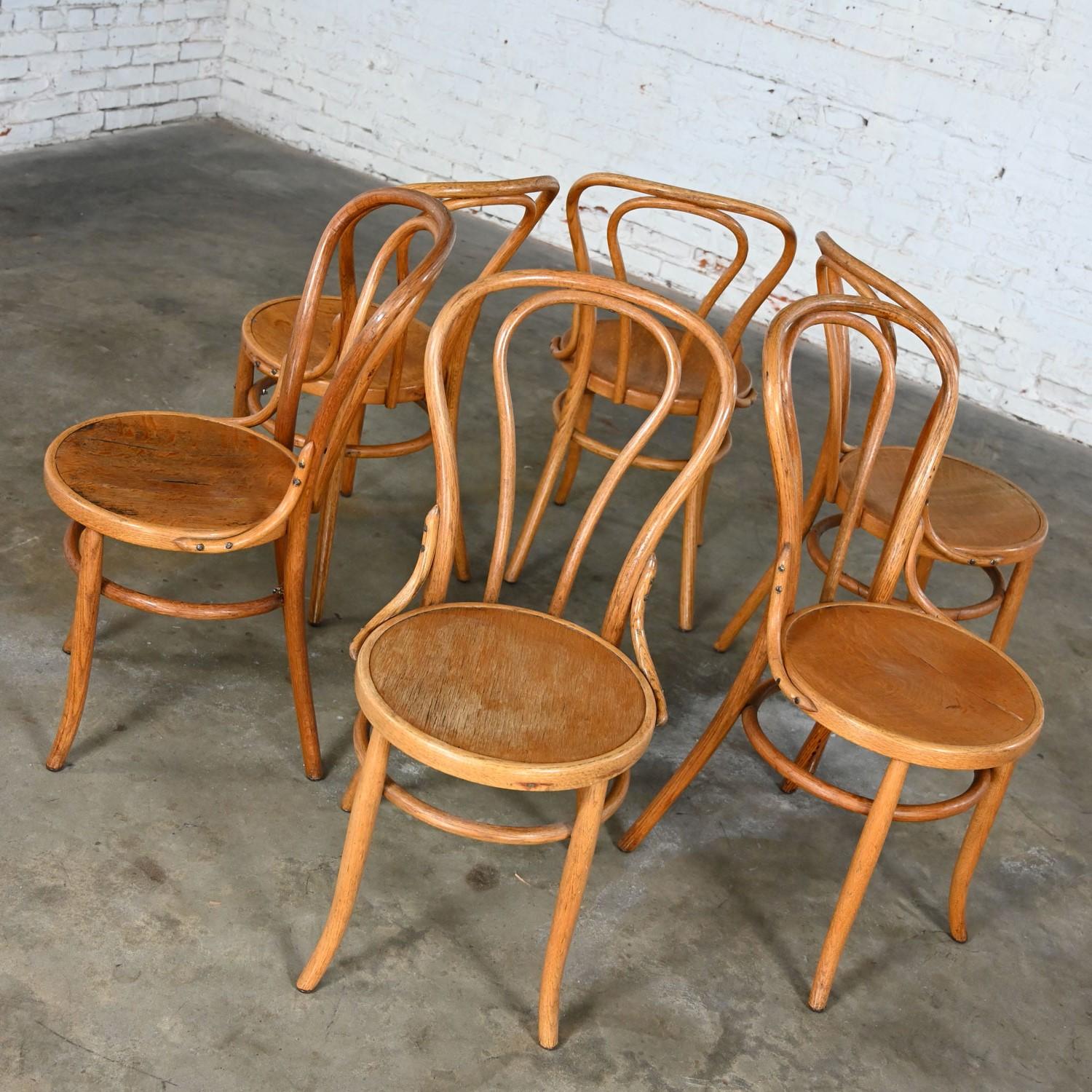 Bauhaus Oak Bentwood Chairs Attributed to Thonet #18 Café Chair Set of 6 For Sale 10