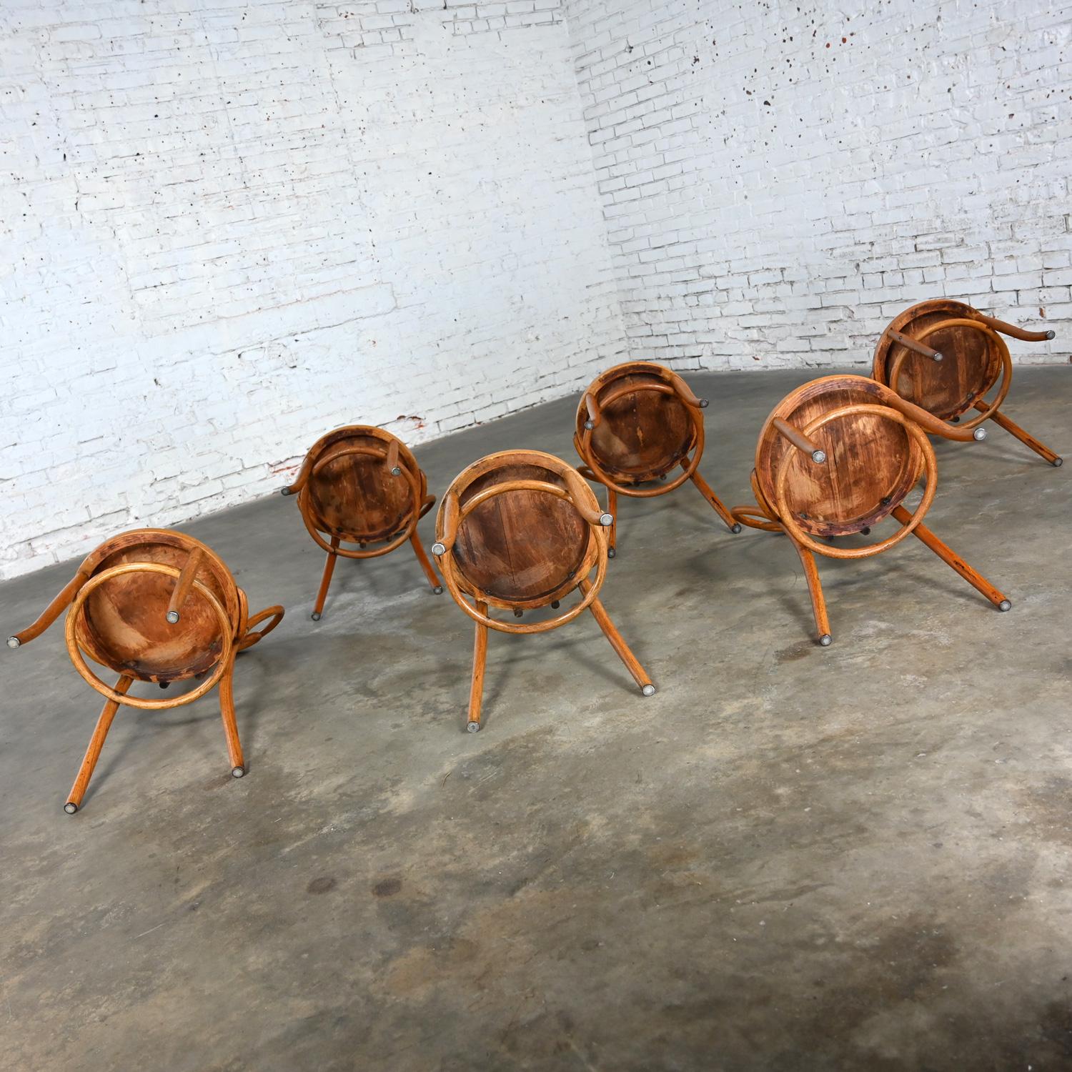 Bauhaus Oak Bentwood Chairs Attributed to Thonet #18 Café Chair Set of 6 For Sale 11